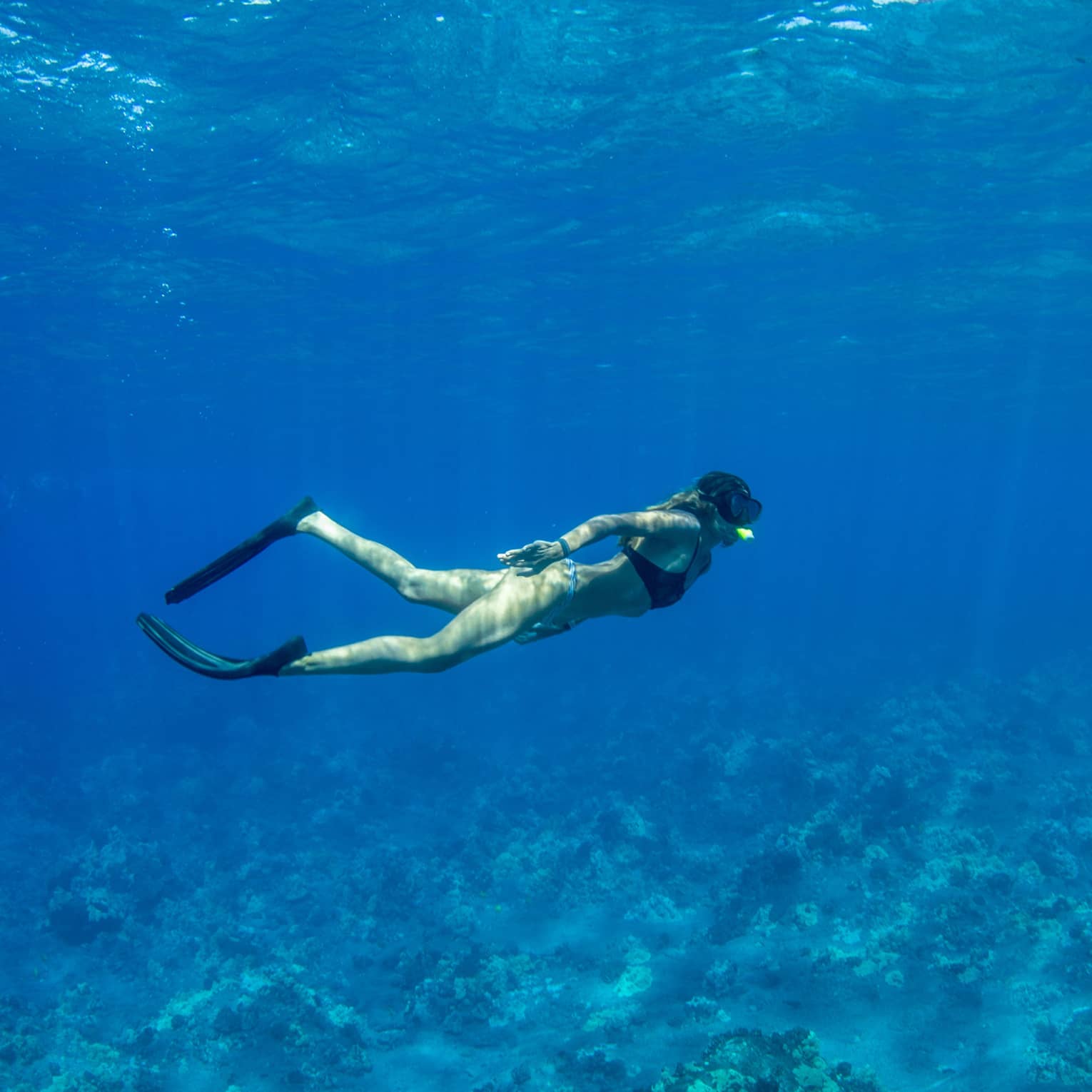 A snorkeller in black flippers and mask explores a rocky coral reef below, as rays of sunlight filter from above the blue water.