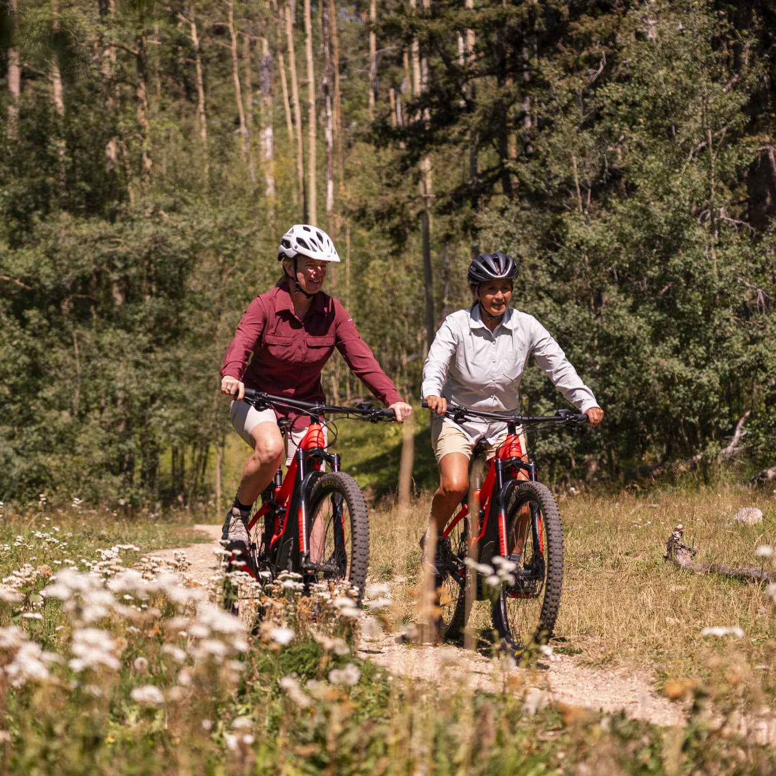 Two people on bikes riding along a trail nears a forest.