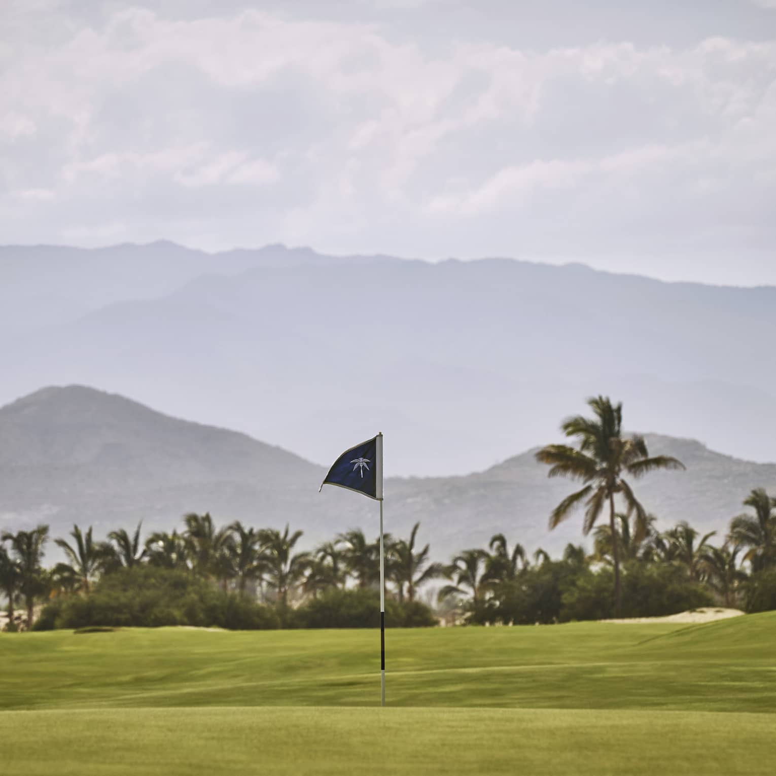 A putting green with a view of tropical trees and mountains behind