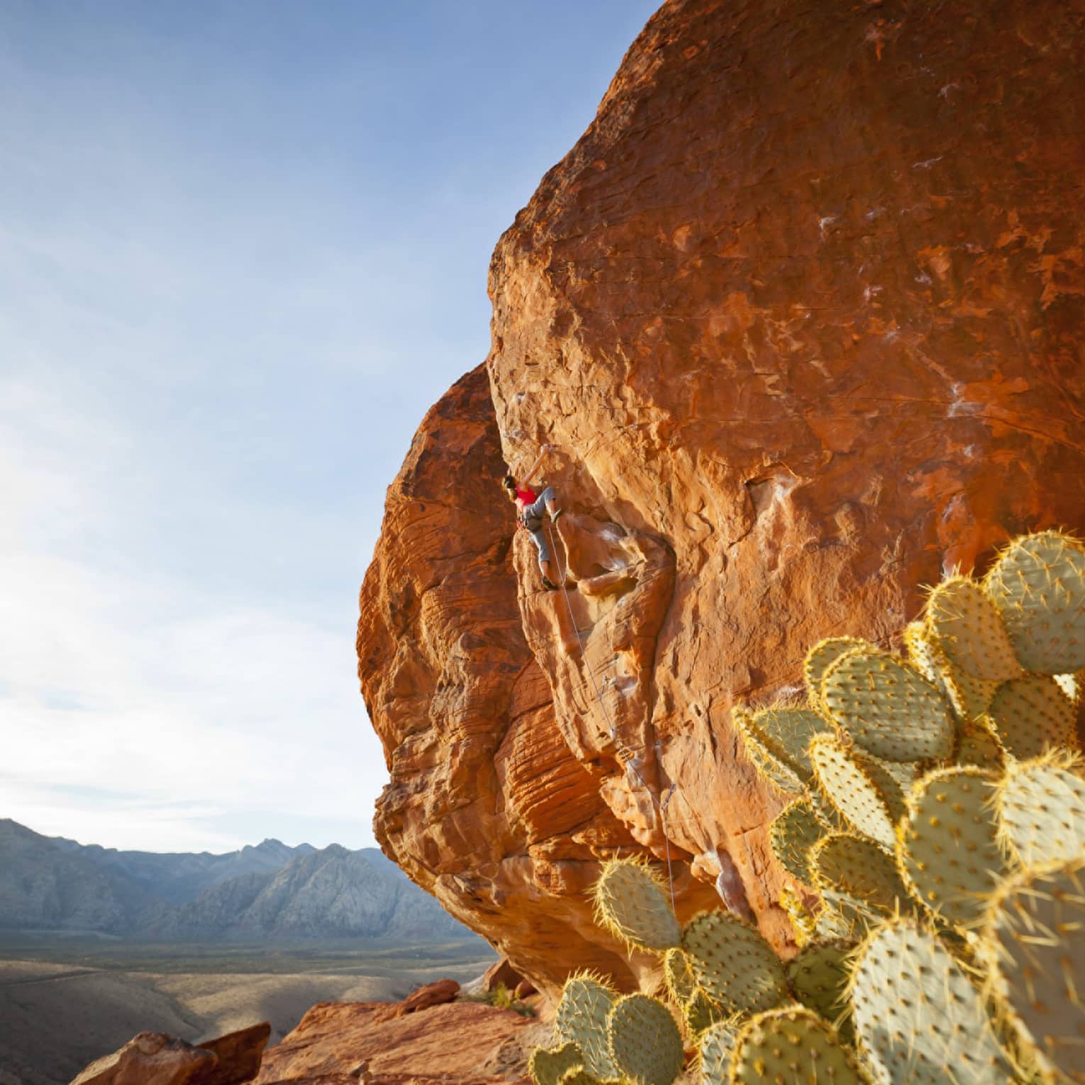 Red Rock Canyon cliff, cactus against blue sky