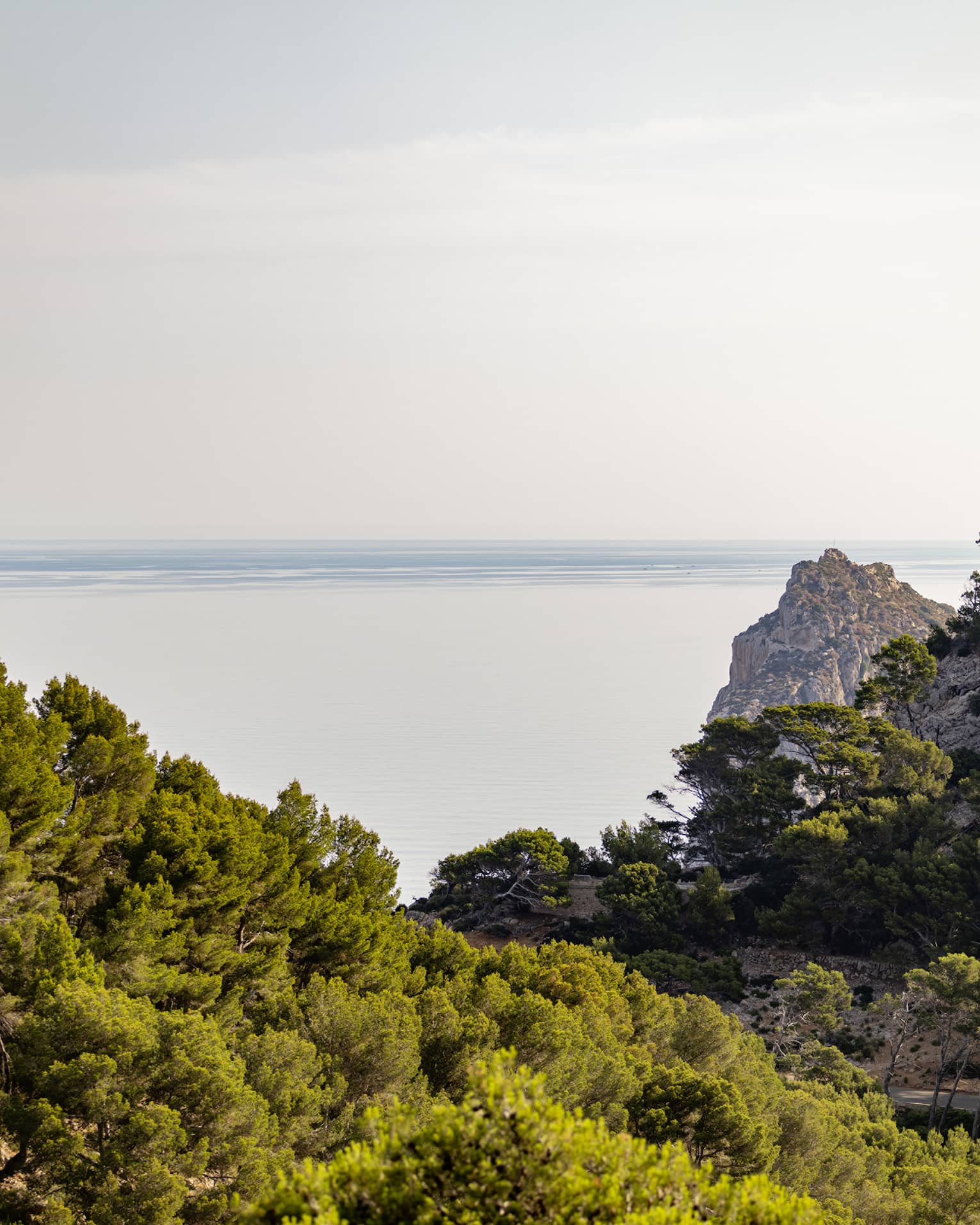 A lush valley of trees on craggy hillsides frames an expansive view of a serene ocean meeting the pale blue horizon beyond.