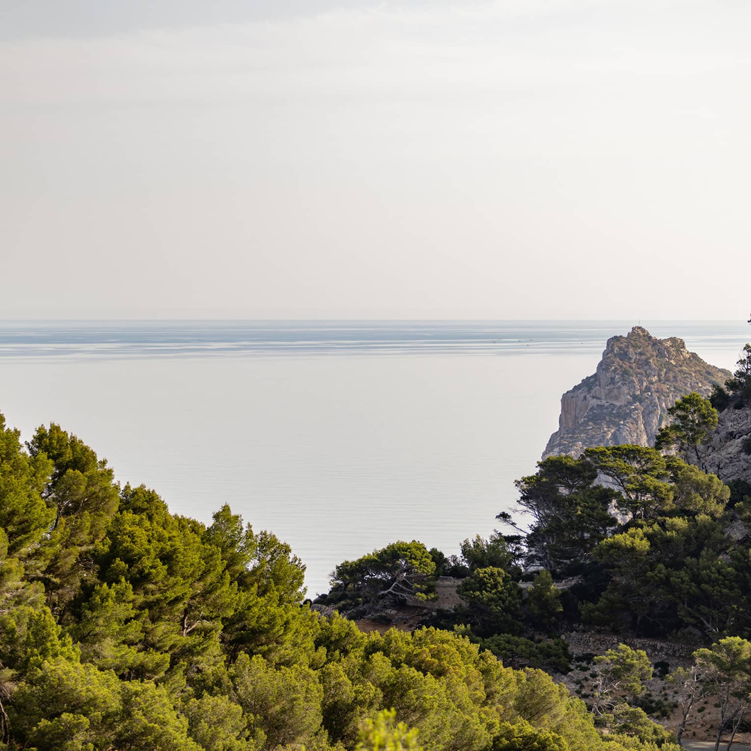 A lush valley of trees on craggy hillsides frames an expansive view of a serene ocean meeting the pale blue horizon beyond.