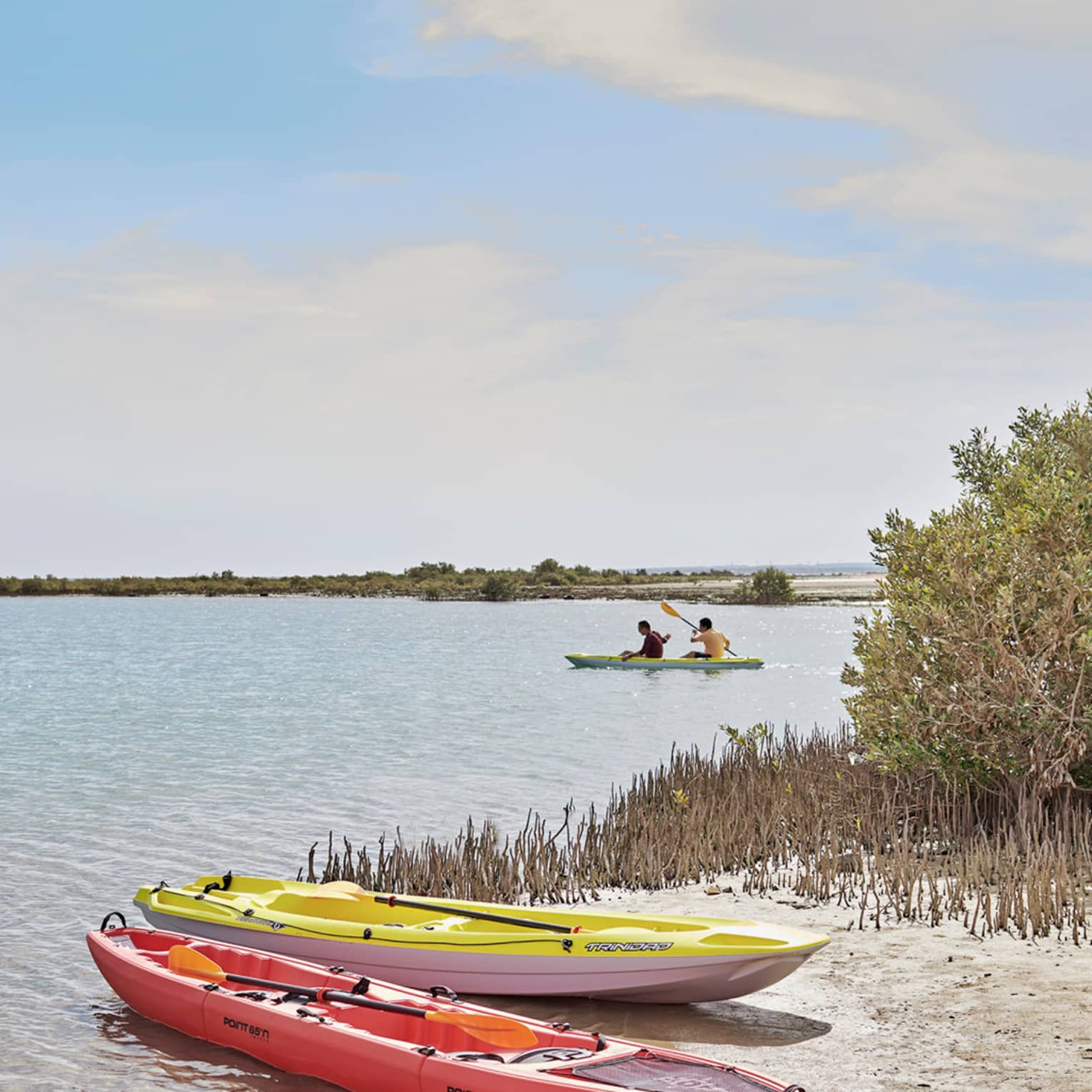 Two beached kayaks – one red, one yellow – amid grass and shrubs; two people paddling in a tandem kayak in the distance.