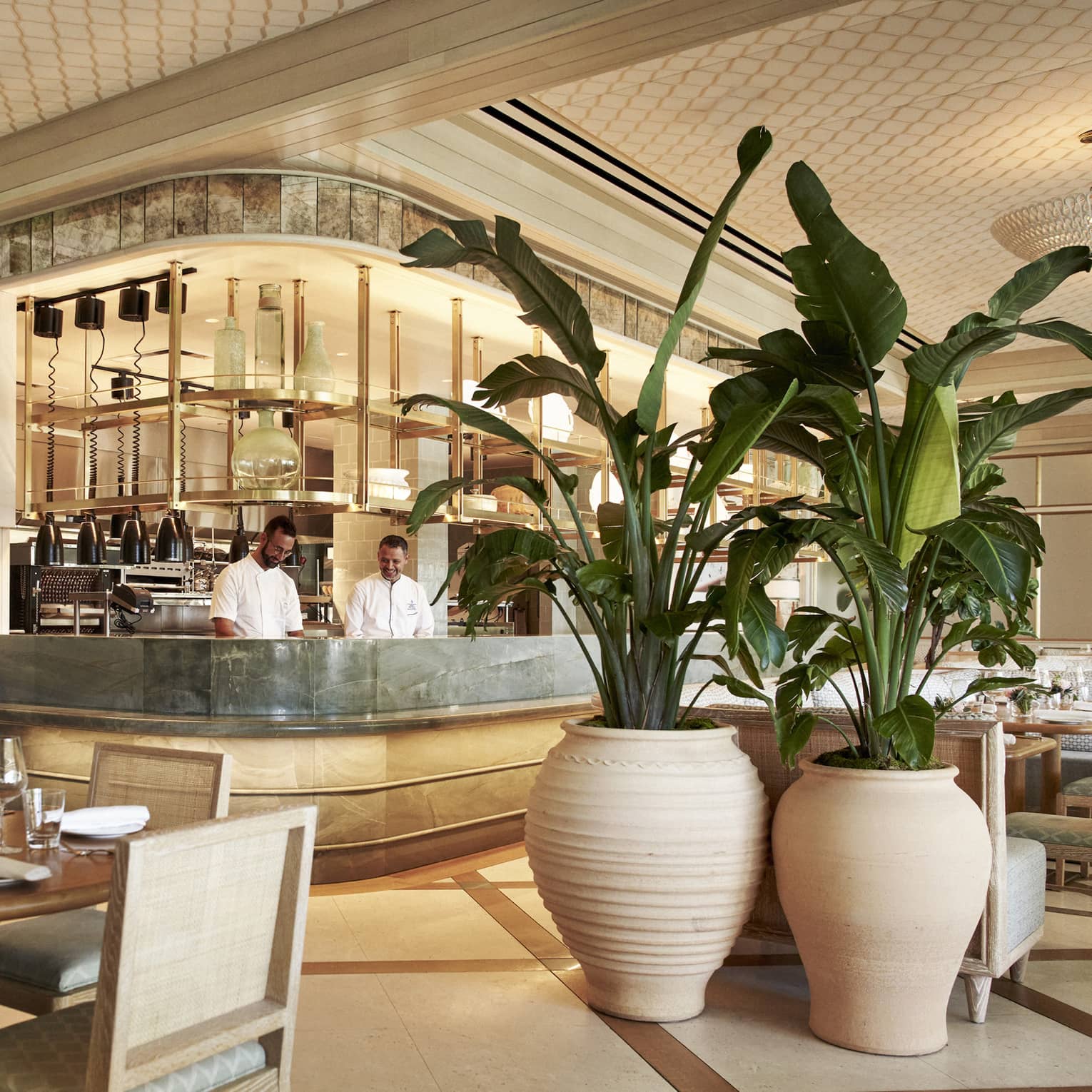 A restaurant with an open kitchen area, large plants, and wood and grey furnishing.