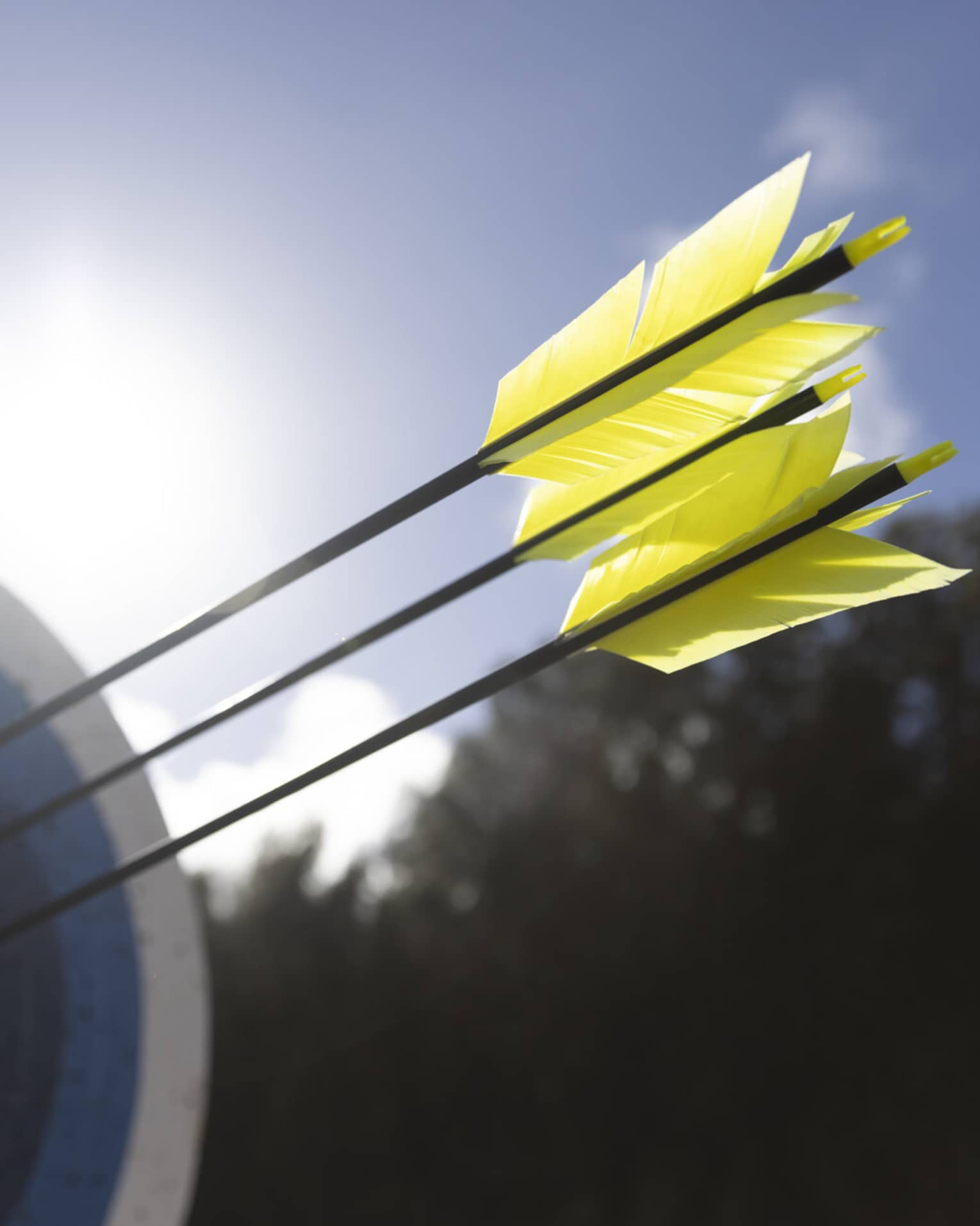 A close-up of yellow feathered arrows that had struck the bull’s eye of a heavily used ringed archery target on a sunny day.