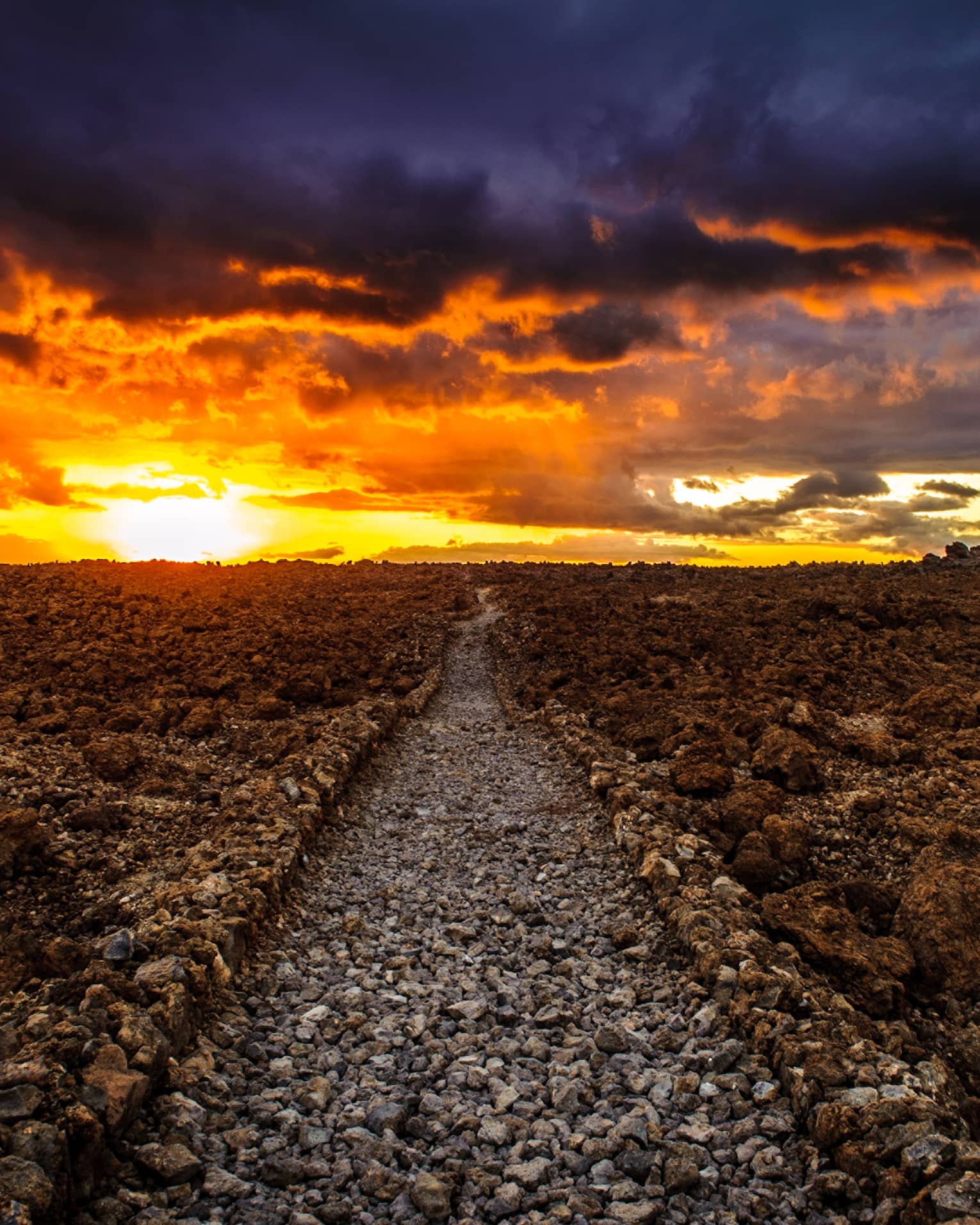 La Perouse / Kings Trail at sunset