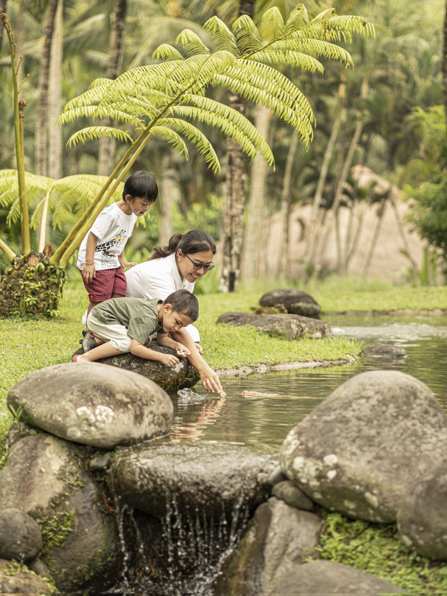 Fish Feeding