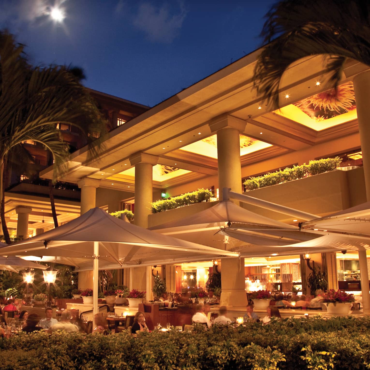 Elegant outdoor restaurant with white canopies and warm lighting at night