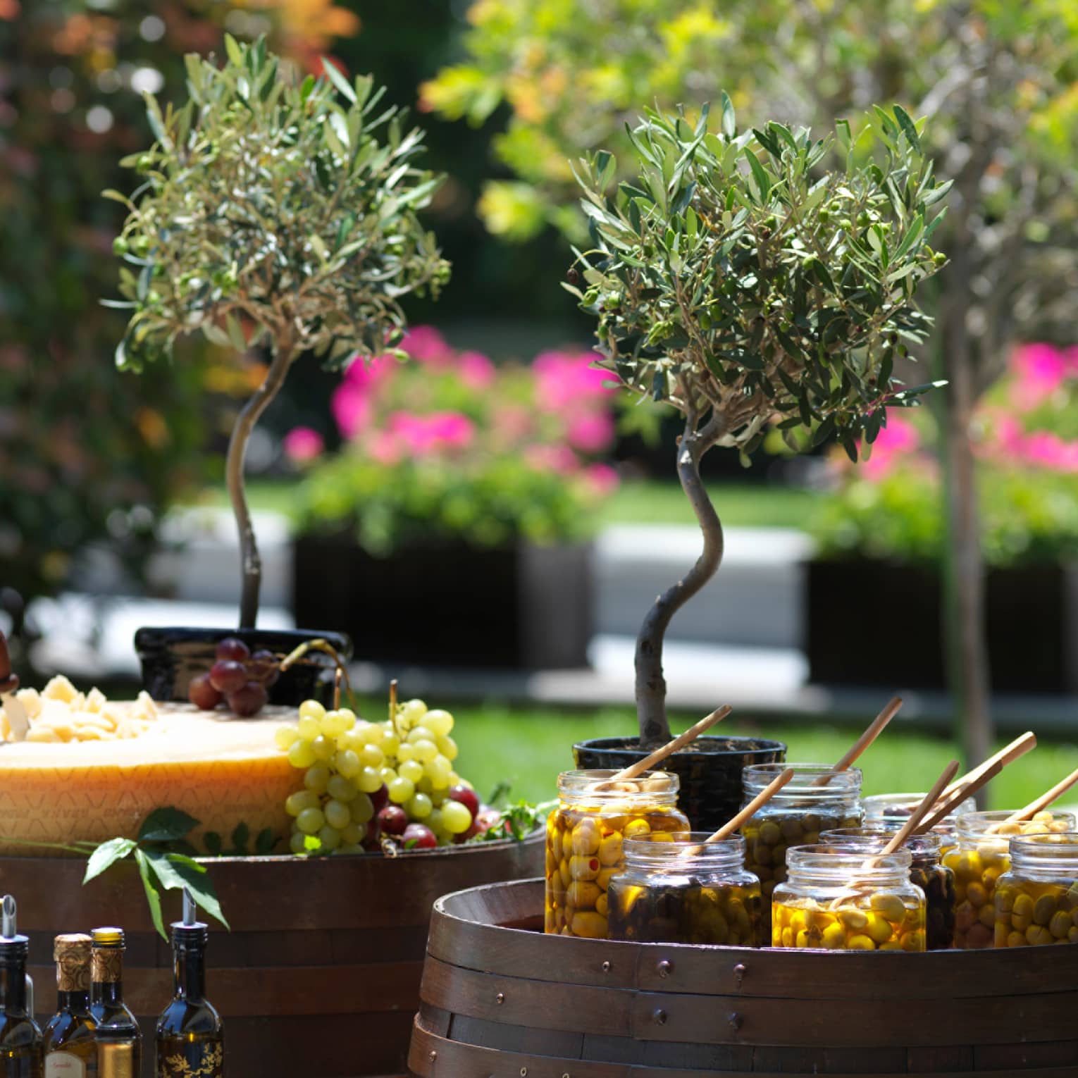 Potted olive trees, jars of olives, bottles of oil, a Parmesan cheese wheel, and grapes served atop two barrels in a garden.