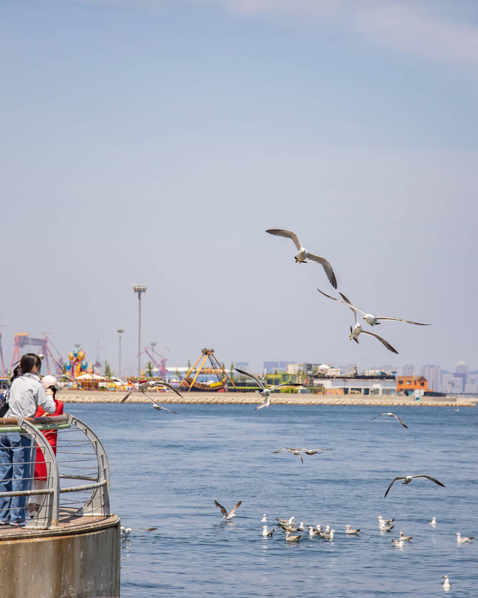 Tourists gather at a sunny pier lined with old-style lamp-posts as seagulls fly nearby, an amusement park in the distance.