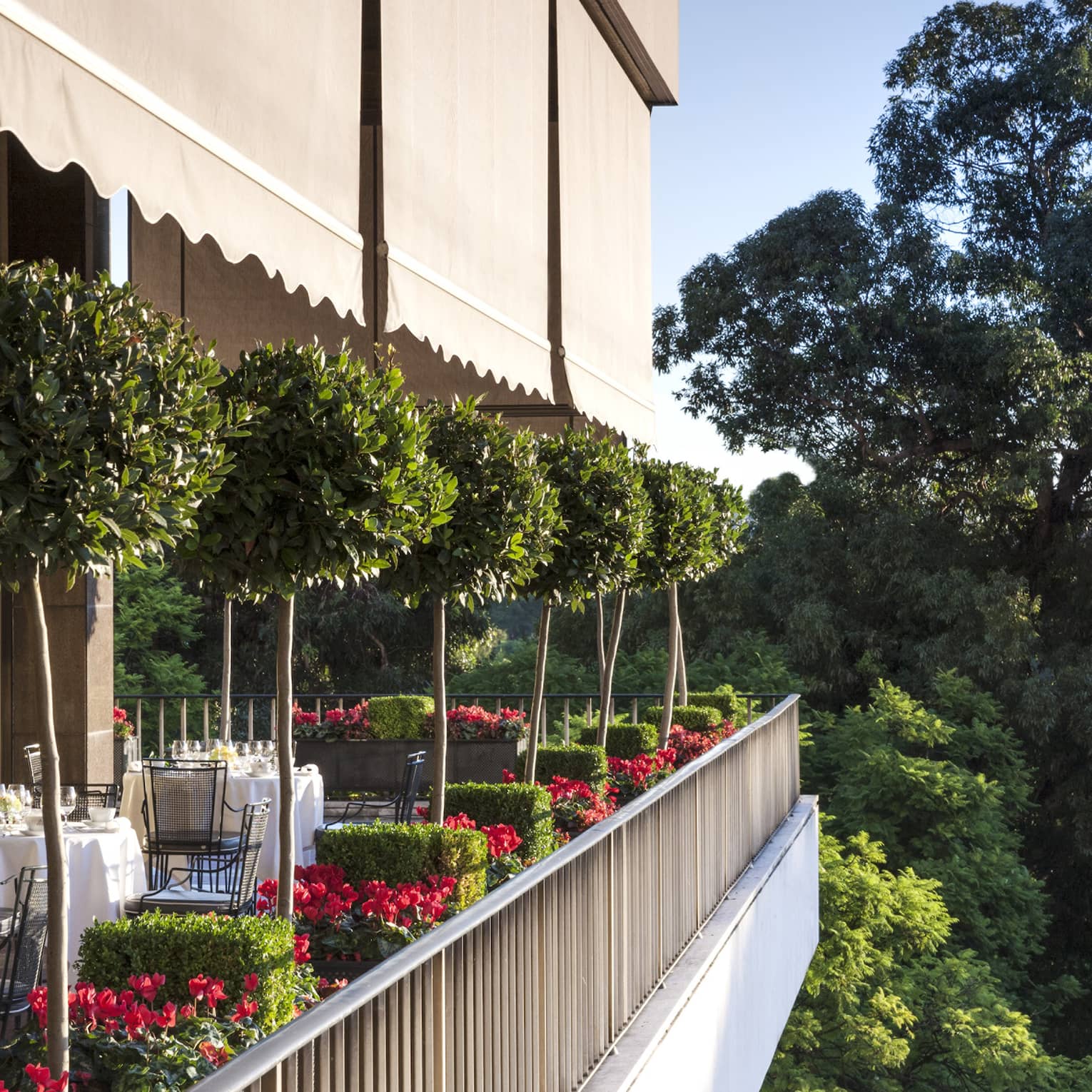 Veranda Terrace Side view of patio dining tables, potted trees 