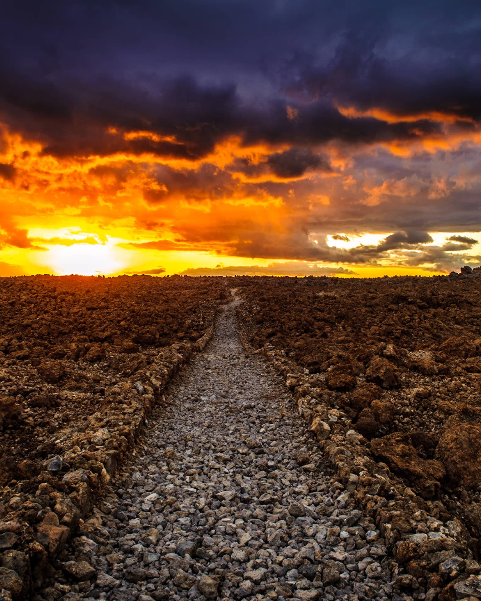 La Perouse / Kings Trail at sunset