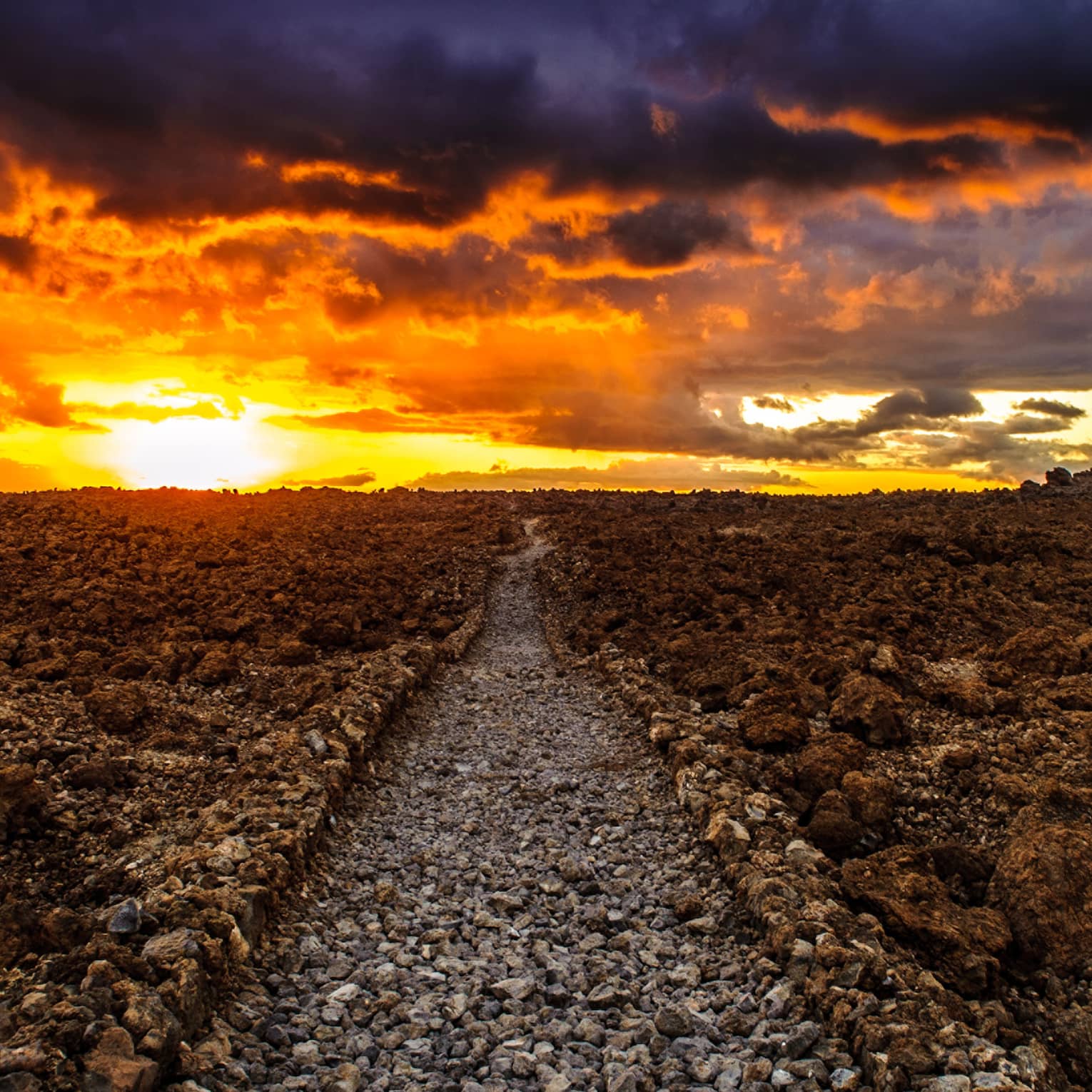 La Perouse / Kings Trail at sunset