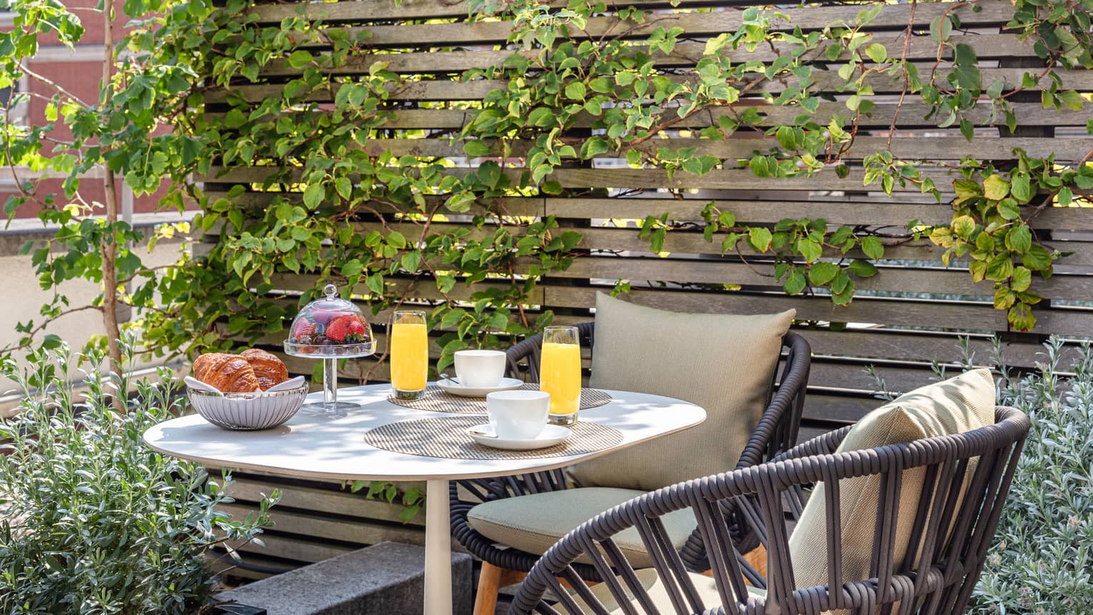 Outdoor terrace with coffee cups, juice glasses, bowl of berries and basket of croissants on a table for two, climbing ivy on the wall behind