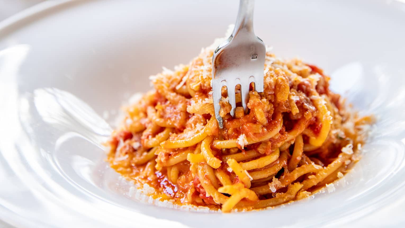 Hand holding fork, digging into fresh spaghetti and tomato sauce entree in white bowl