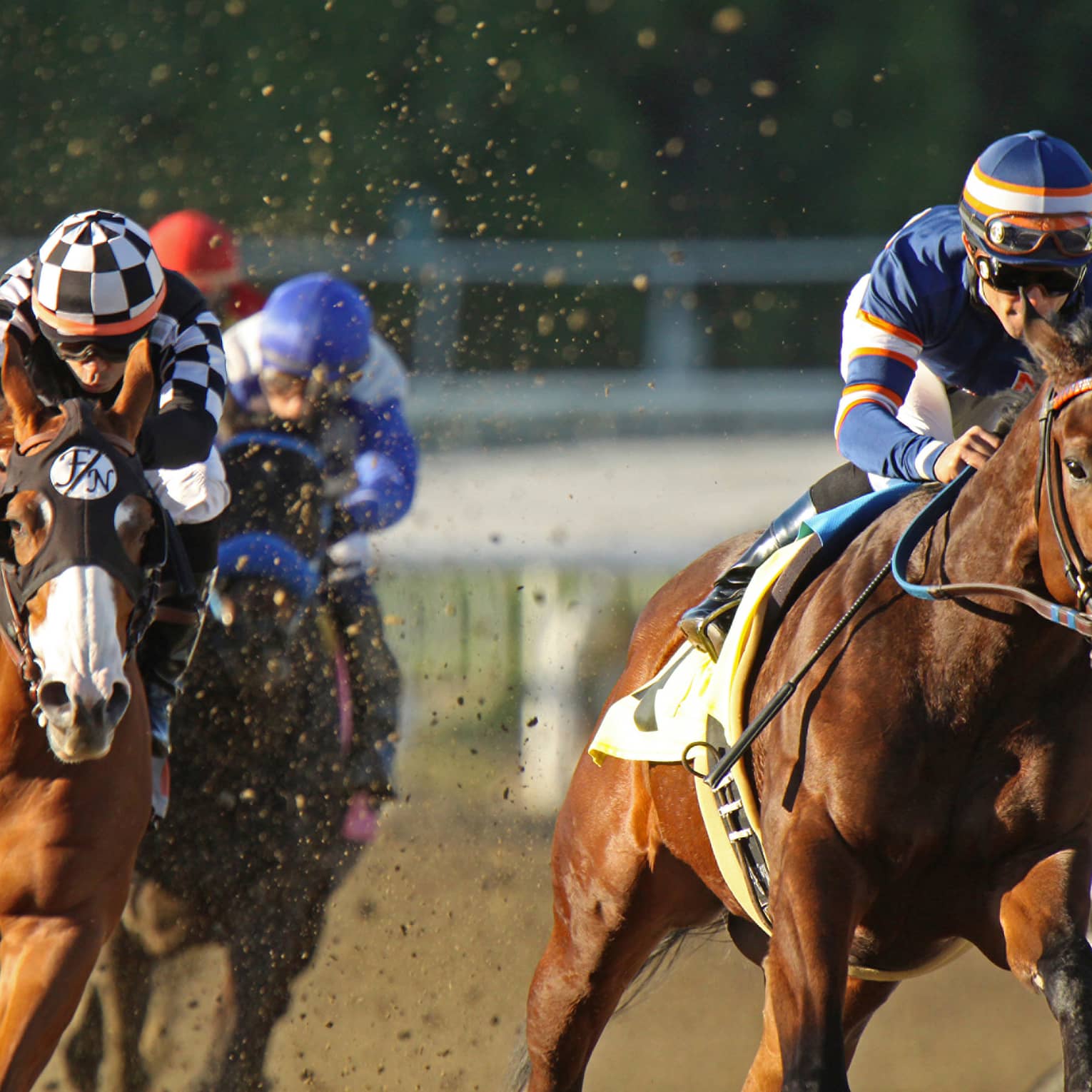 People riding horses in a race.