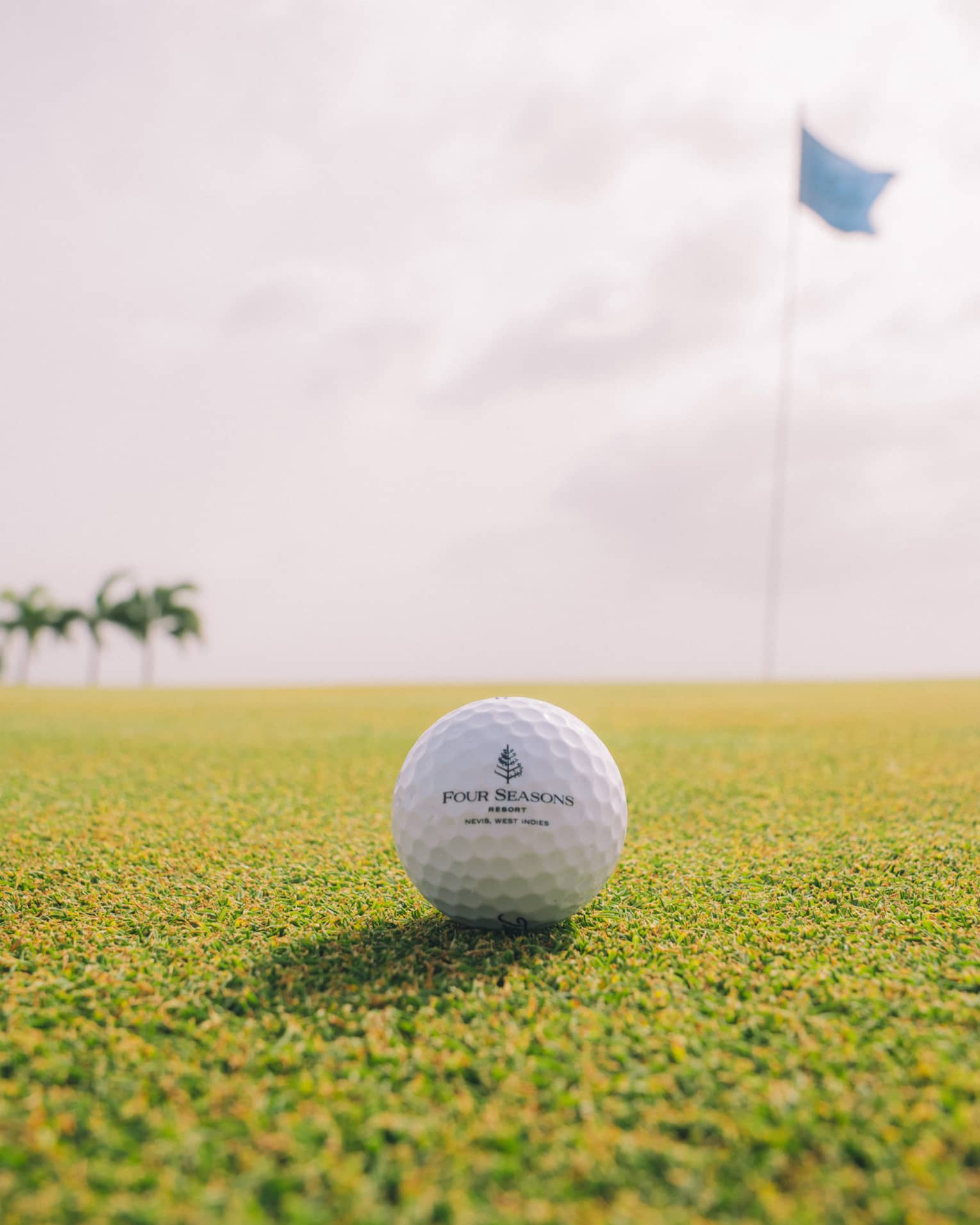 A close-up of a golf ball on a golf course green, with a flag in the background, as well as far off trees and a bright cloudy sky