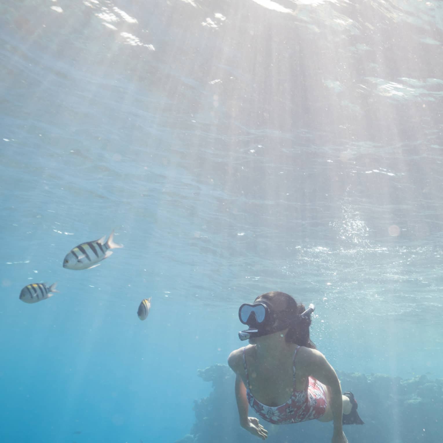 Woman in pink bathing suit snorkels among colourful fish and coral reefs, sunlight streaming through the water's surface