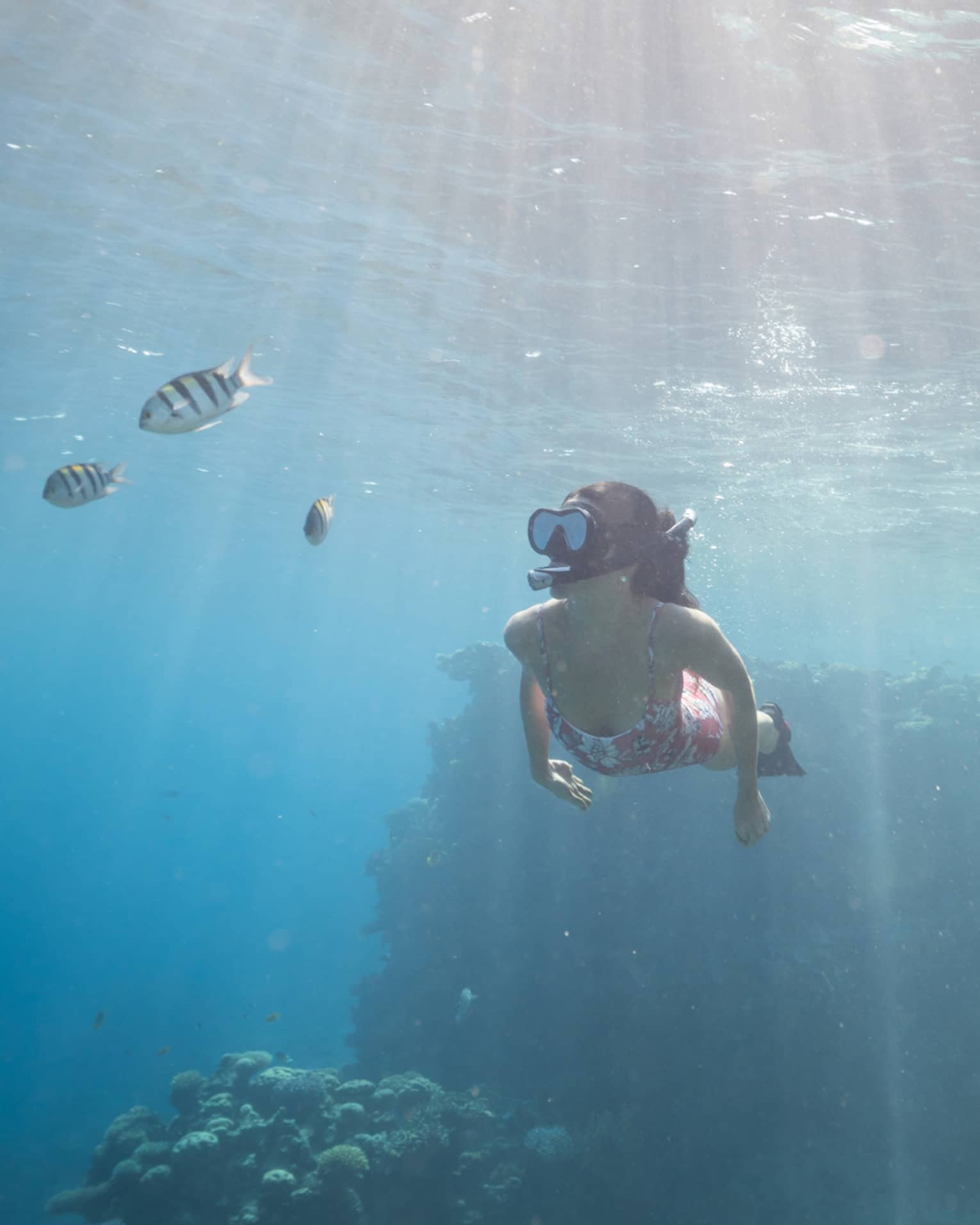 Woman in pink bathing suit snorkels among colourful fish and coral reefs, sunlight streaming through the water's surface
