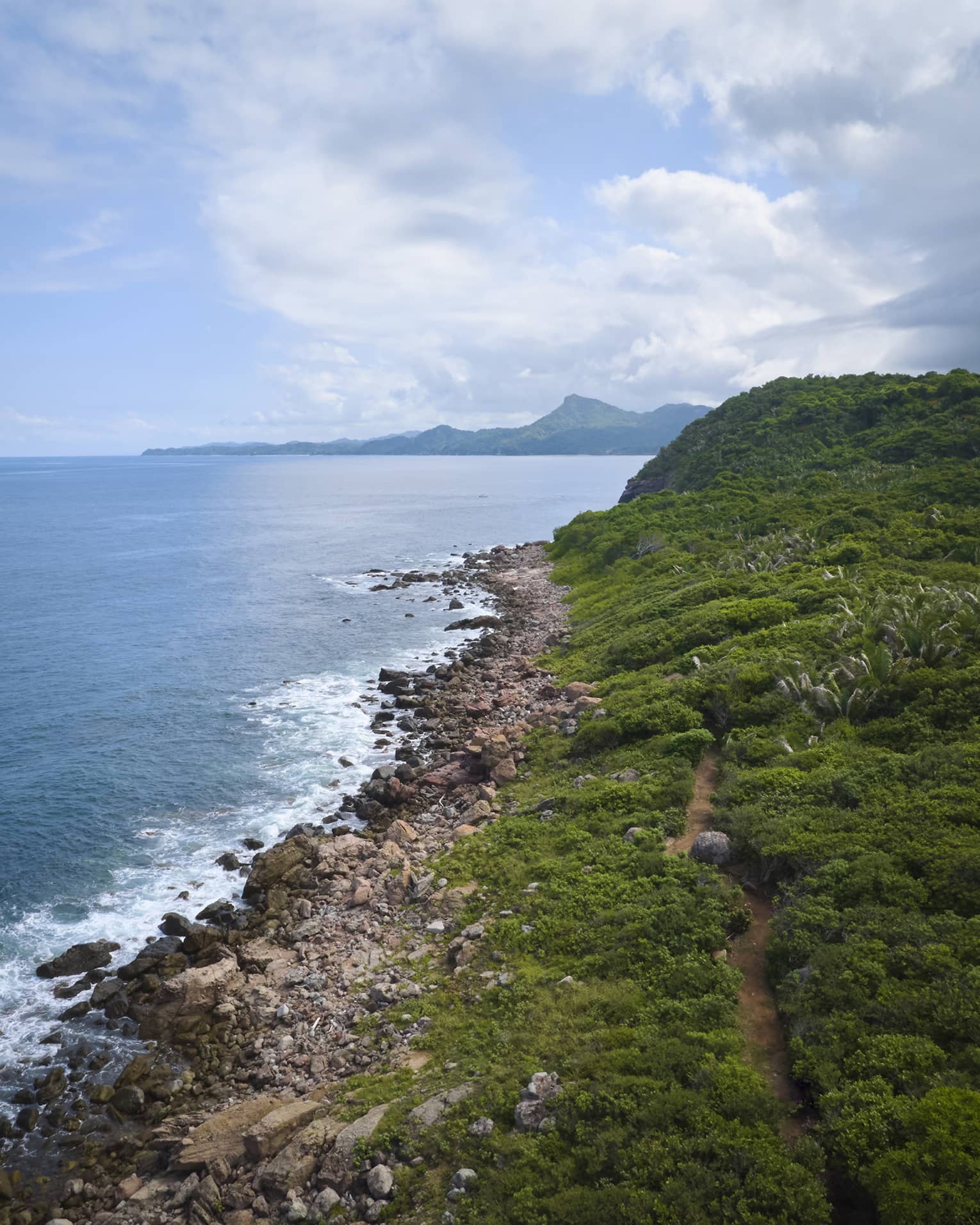 A beach shore covered in green and rocky sand.