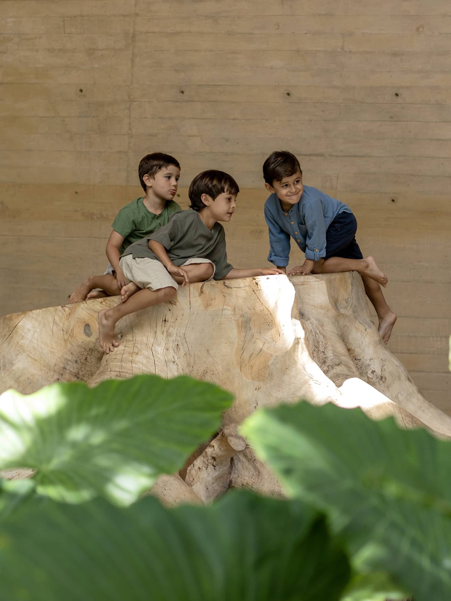 Three children sit on a large tree stump with large-leaved greenery in the foreground.