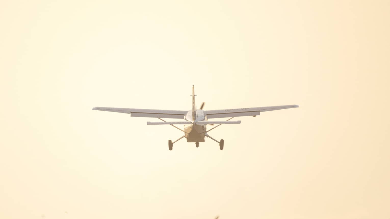 Airplane lands in tropical setting