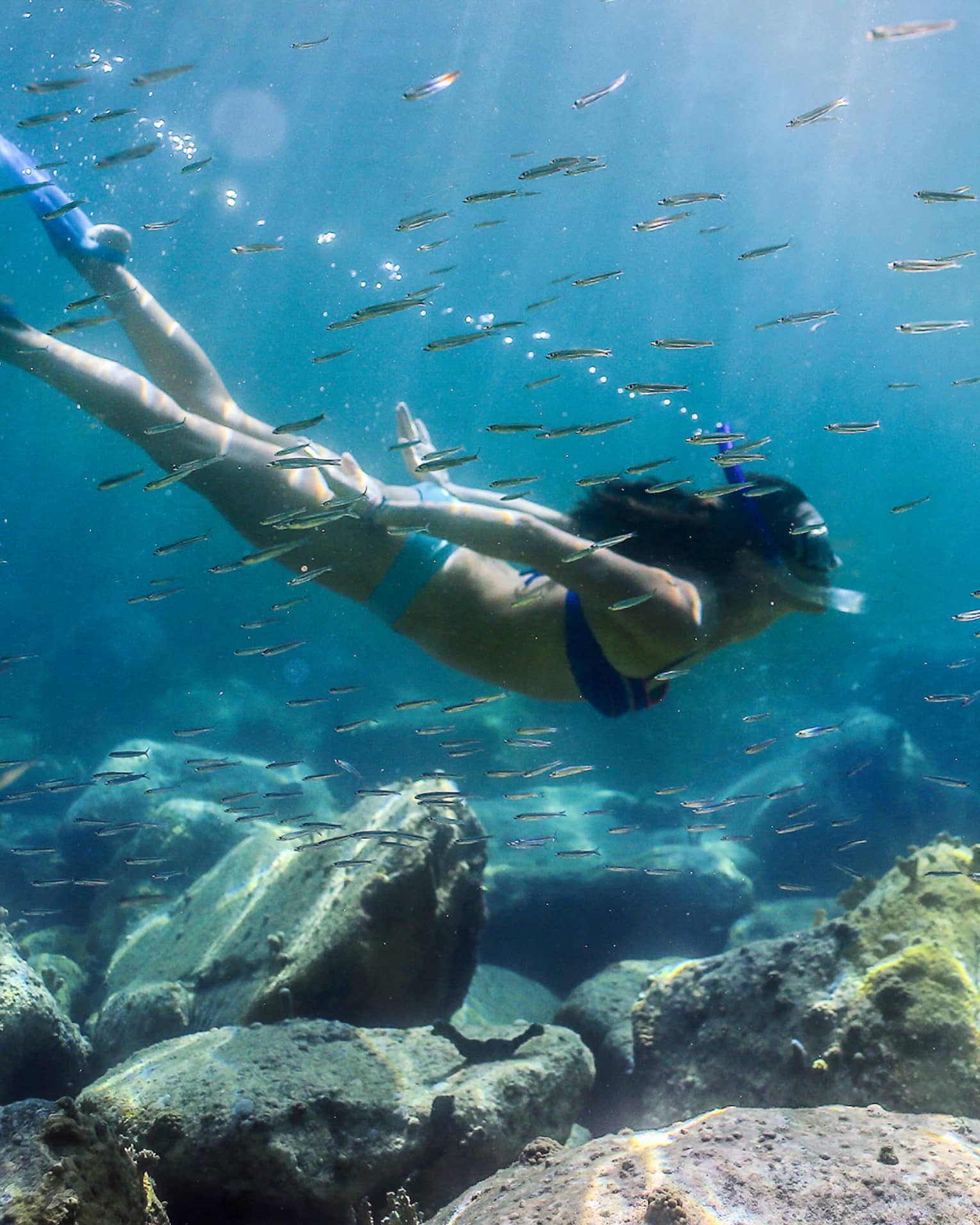 Women with snorkel, mask and fins swims in coral reef among tropical fish