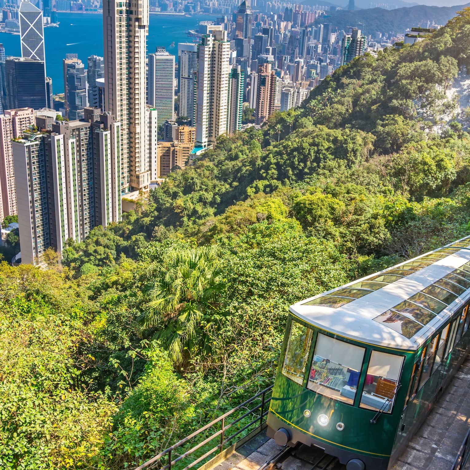 The Peak Tram rises about Hong Kong city on a lush mountainside
