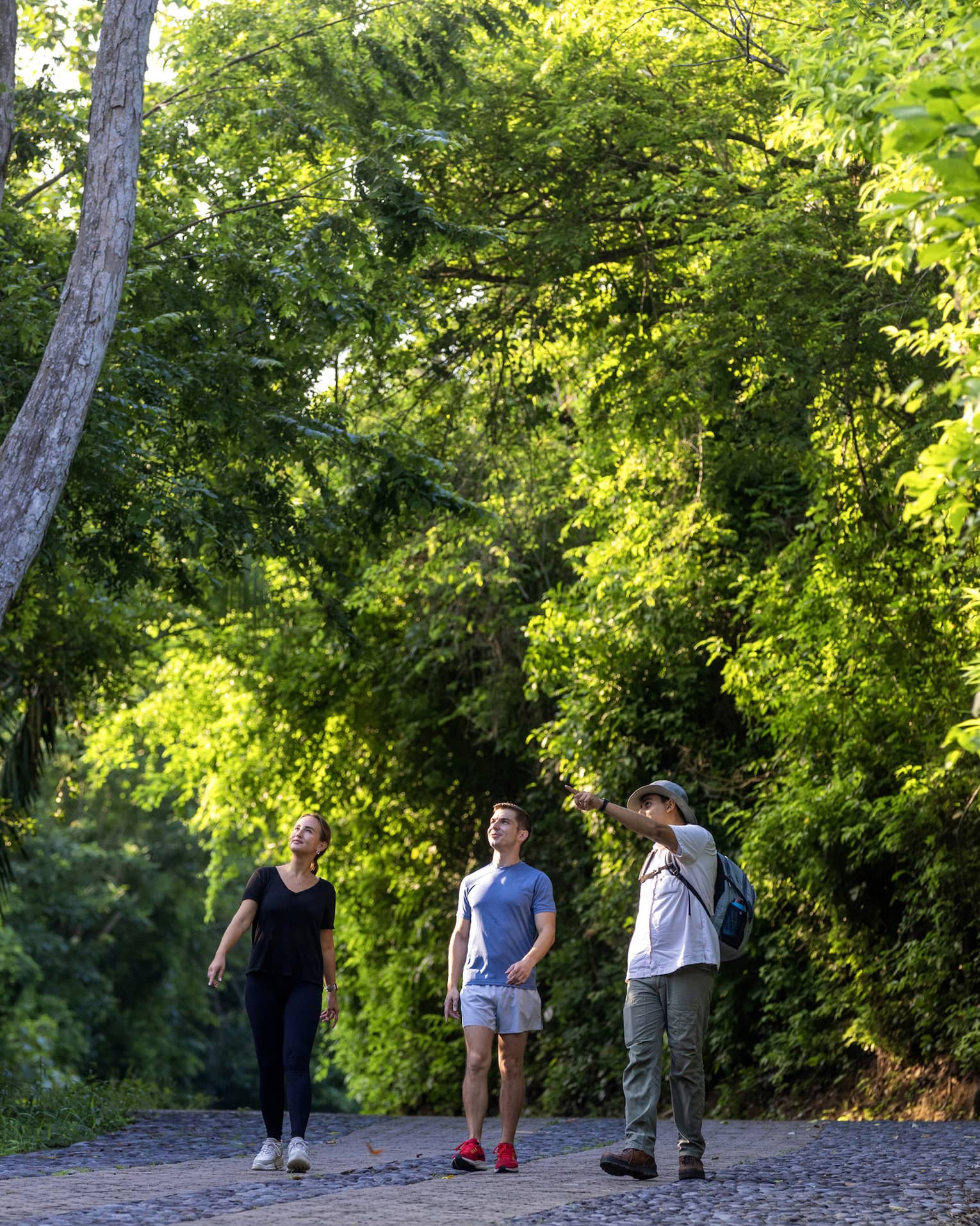 Hikers walk along a grey paved path amid trees and lush foliage as a guide points up toward something in the distance. 