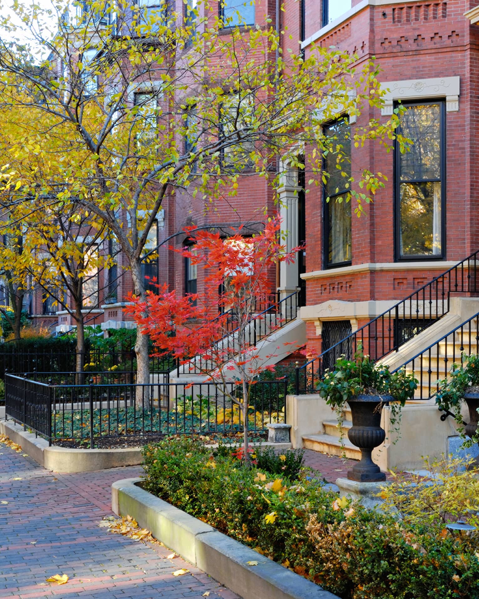 Red brick homes with red and yellow trees lining the brick sidewalk. 