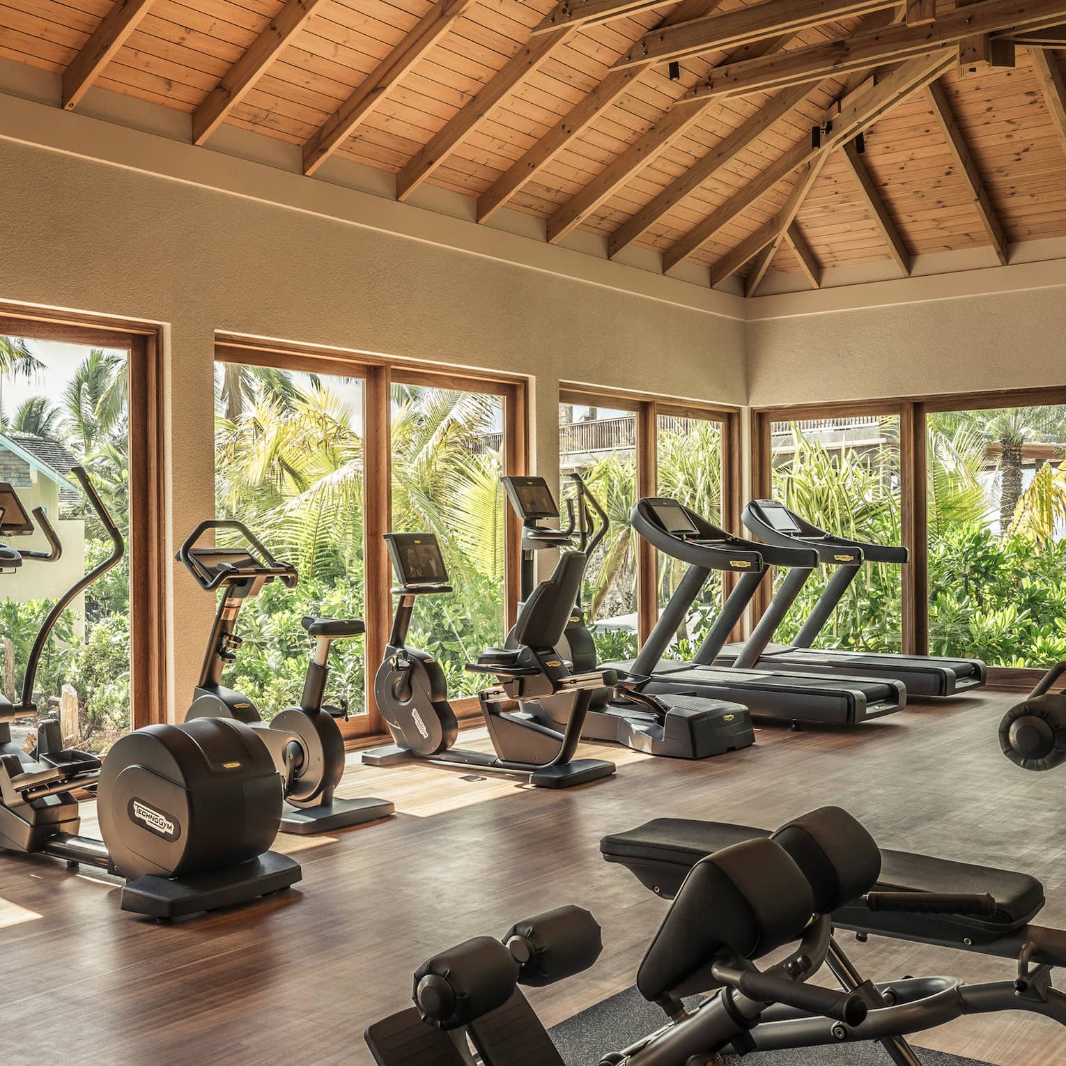 A bright, spacious gym with vaulted ceiling featuring various exercise machines and a view of lush palms from large windows.