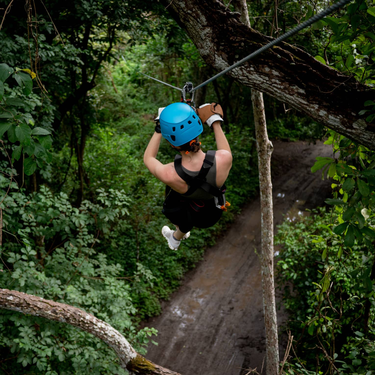 Aerial view of a person wearing a black sleevless shirt, black shorts, white sneakers and a bright blue helmet sliding through the trees on a zipline