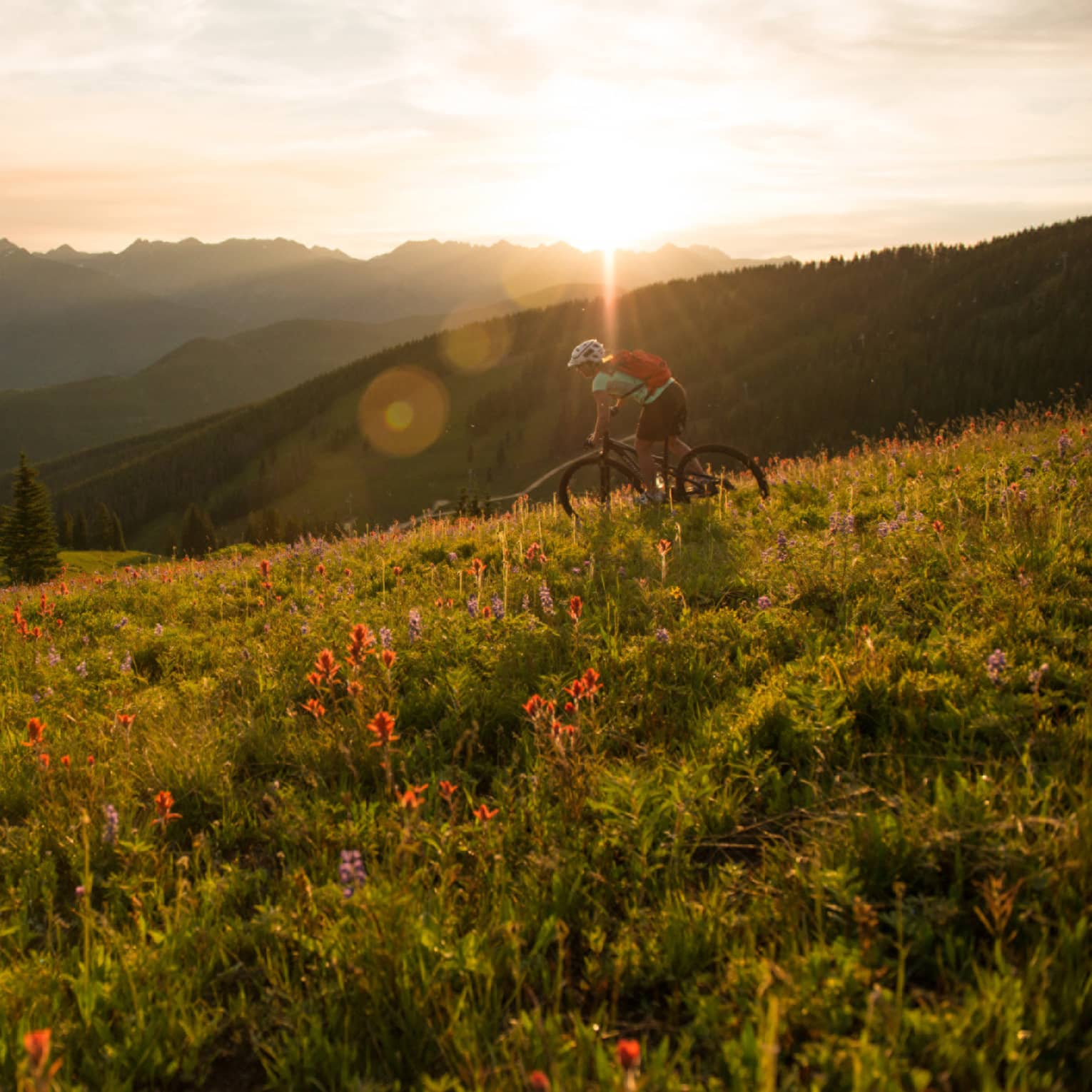 Sun sets over mountain meadow