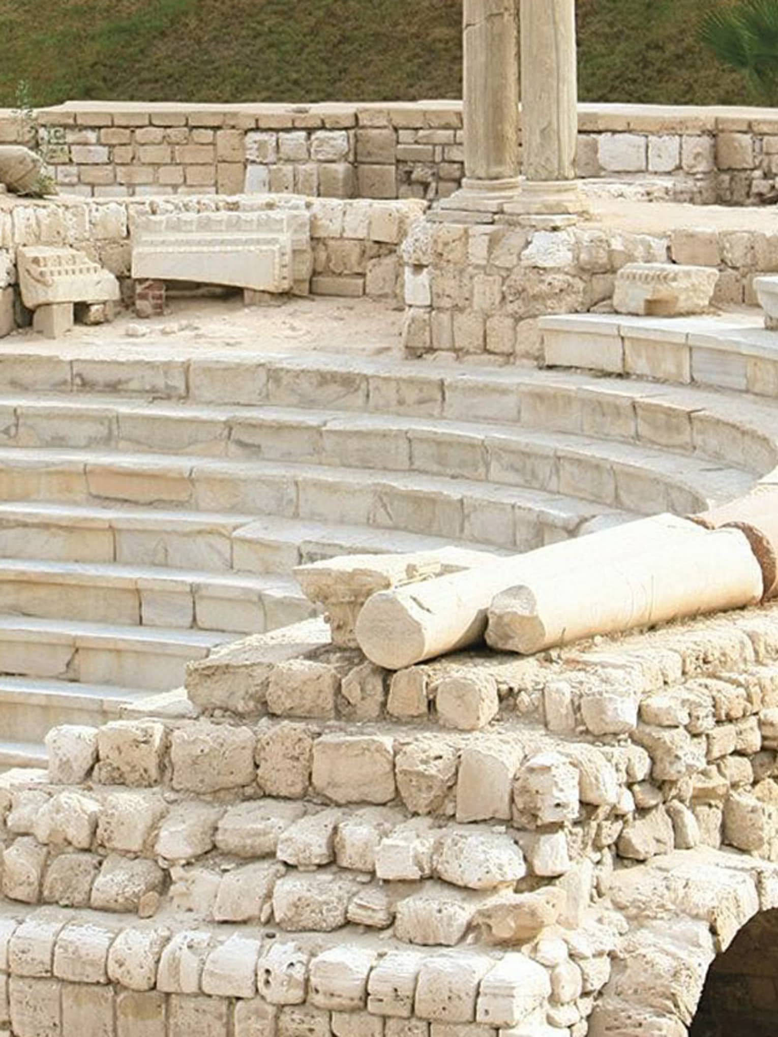 Alexandria’s Roman Amphitheatre, trees and buildings in background 