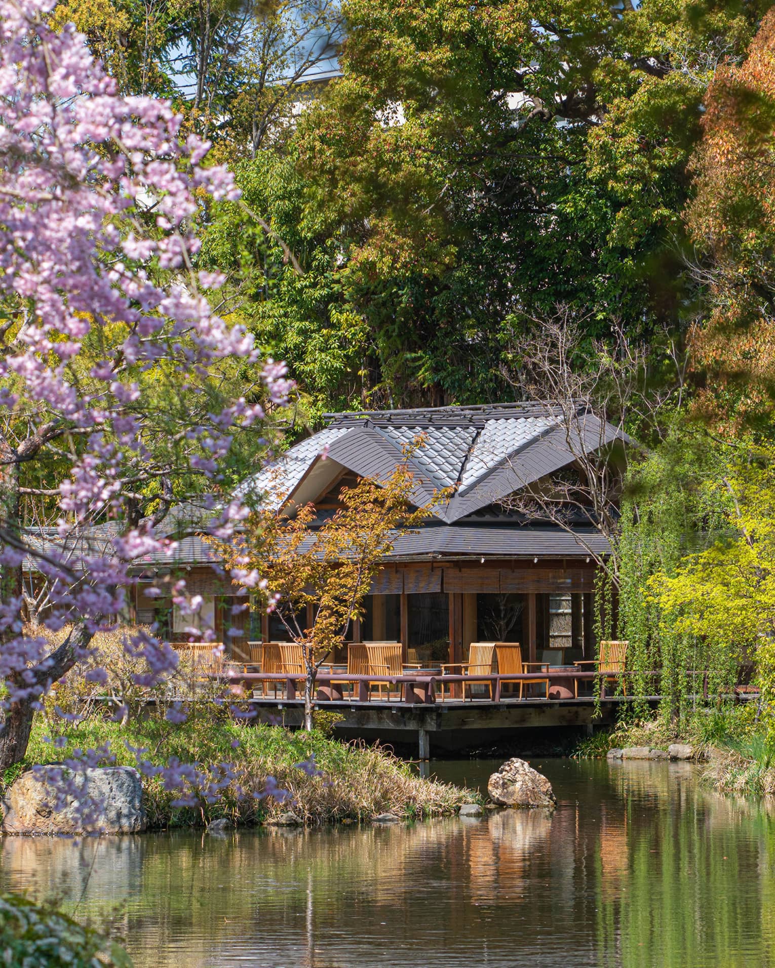 Overwater building in spring framed by blooming cherry blossoms