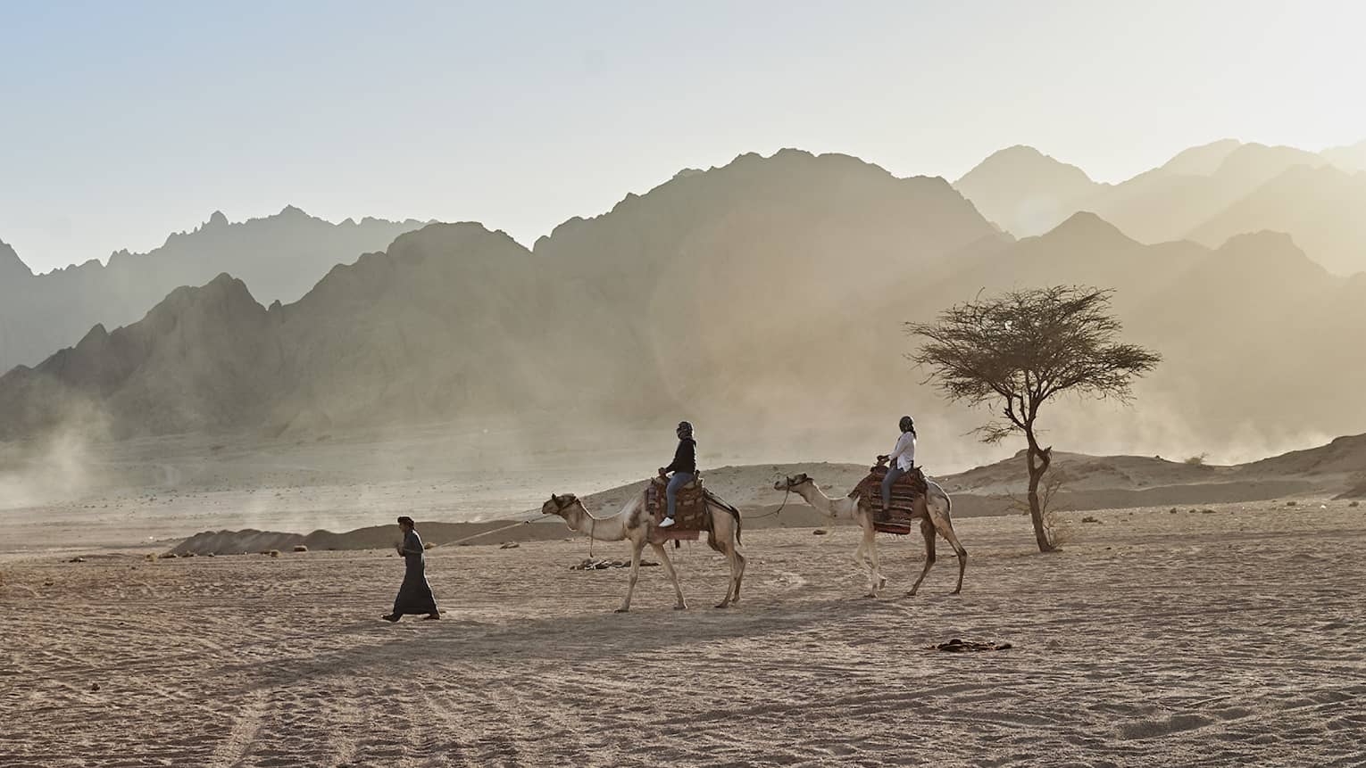 People riding a camel in the desert near resort