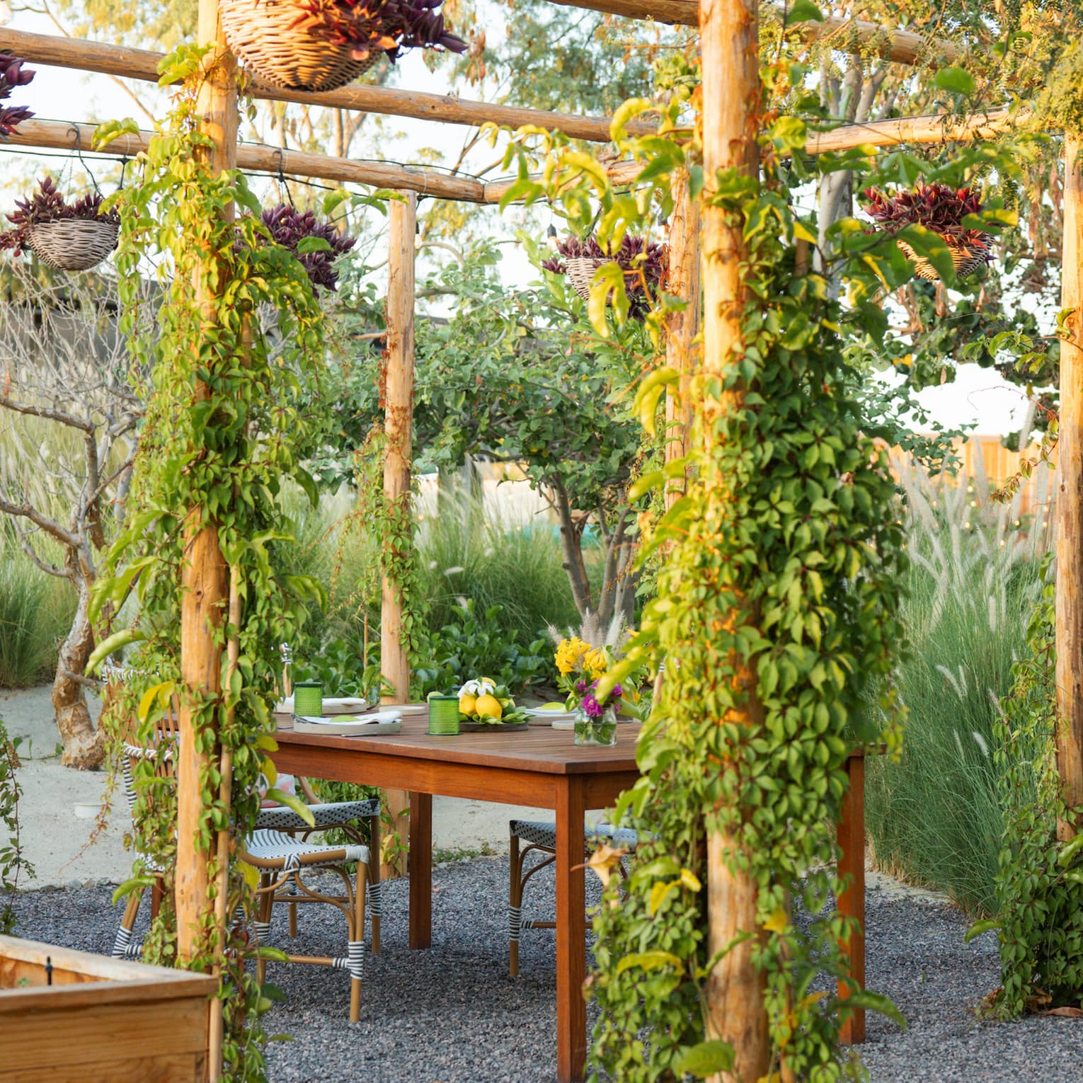 Outdoor dining table with pergola that has green plants around it.