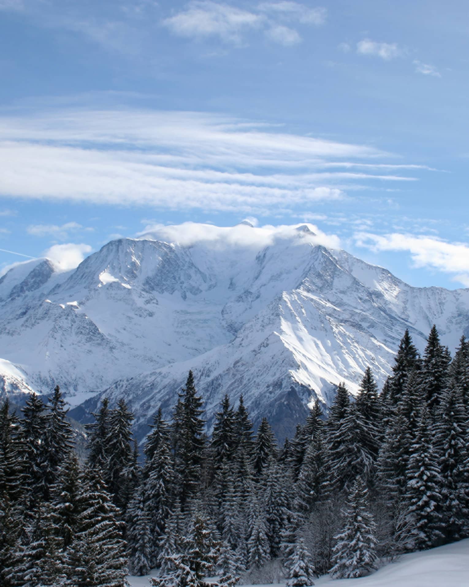 Snowy French Alps mountains over trees