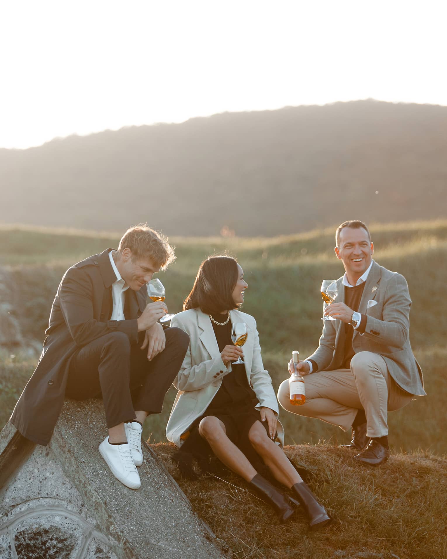 A group of people sitting outdoors on a grassy hill, enjoying glasses of wine together in the warm evening light.