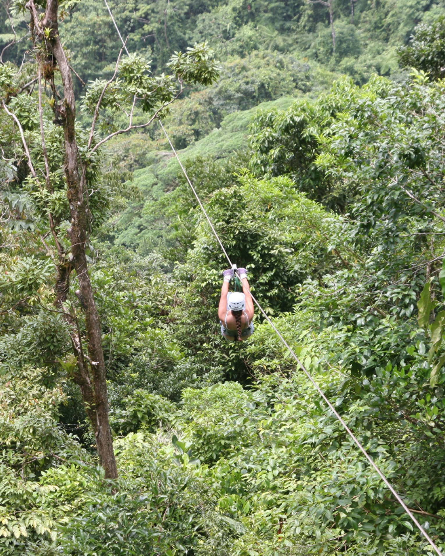 Aerial view of a person zip-lining through dense forest. Gripping the handlebars, the adventurer soars above towering trees.