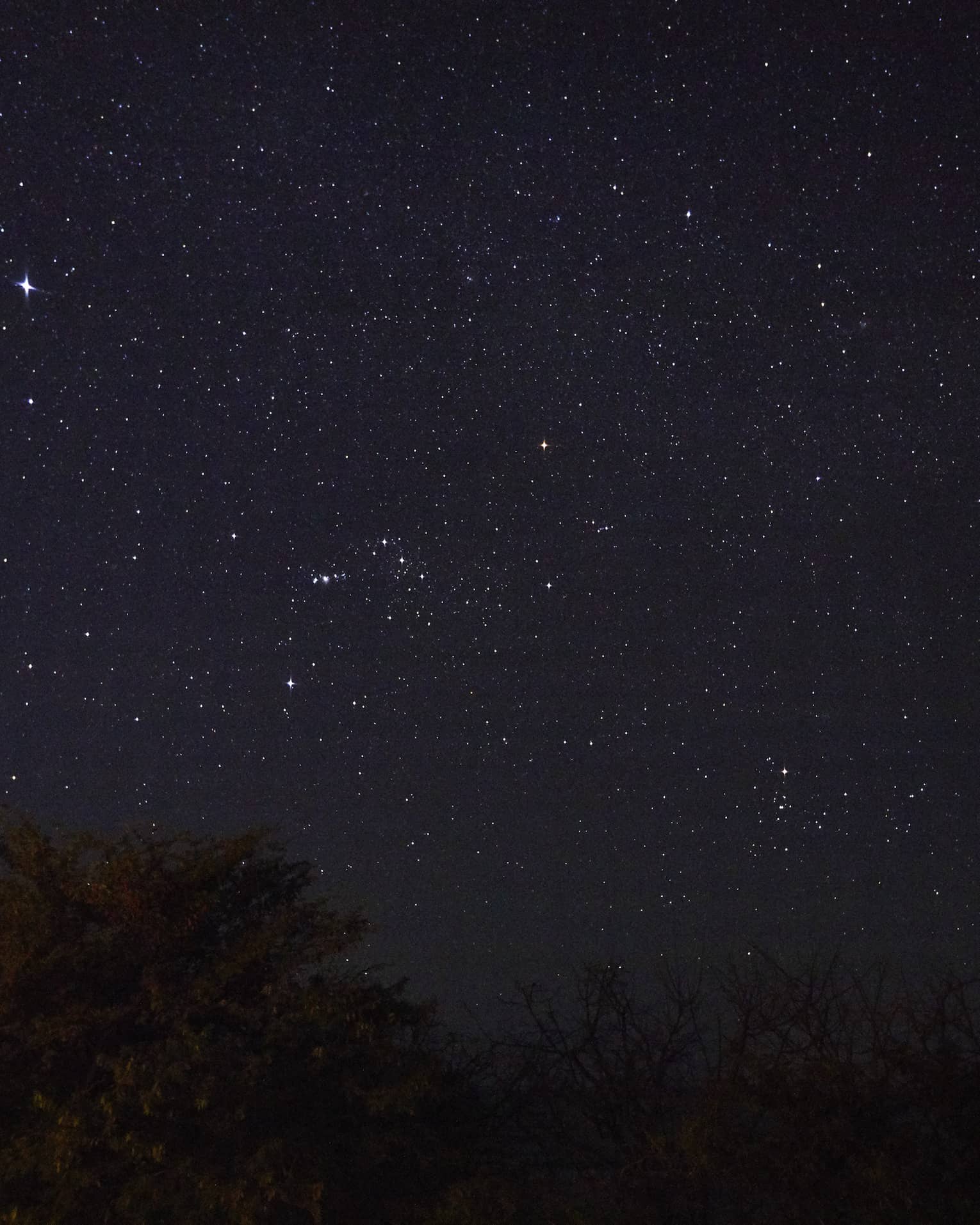 Starry night sky