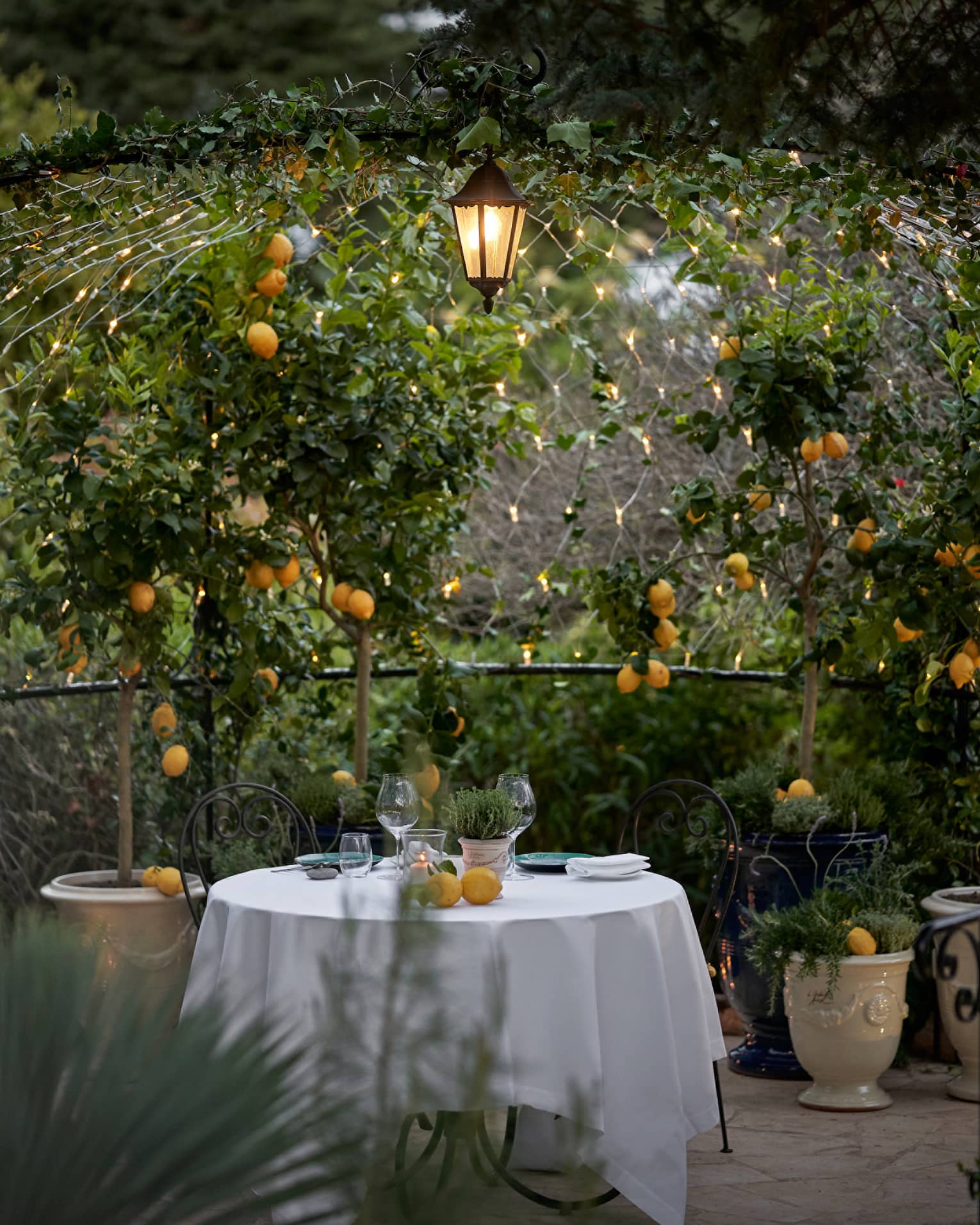 Looking into a secret garden with a table covered in a white cloth placed in the middle of it, orange flowers and green leaves are all around.