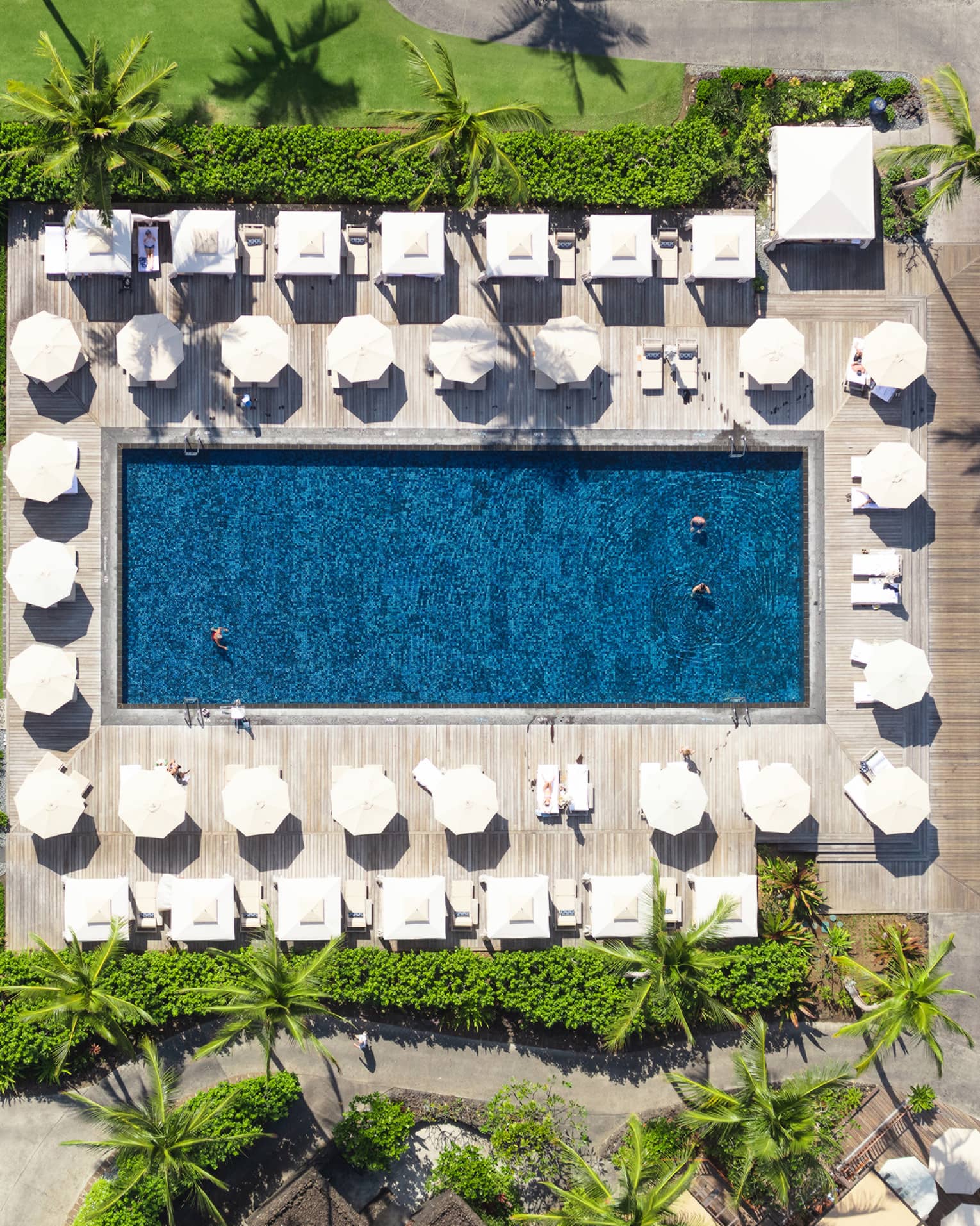 Aerial shot of large rectangular pool surrounded by white umbrellas, cabanas and green lawn