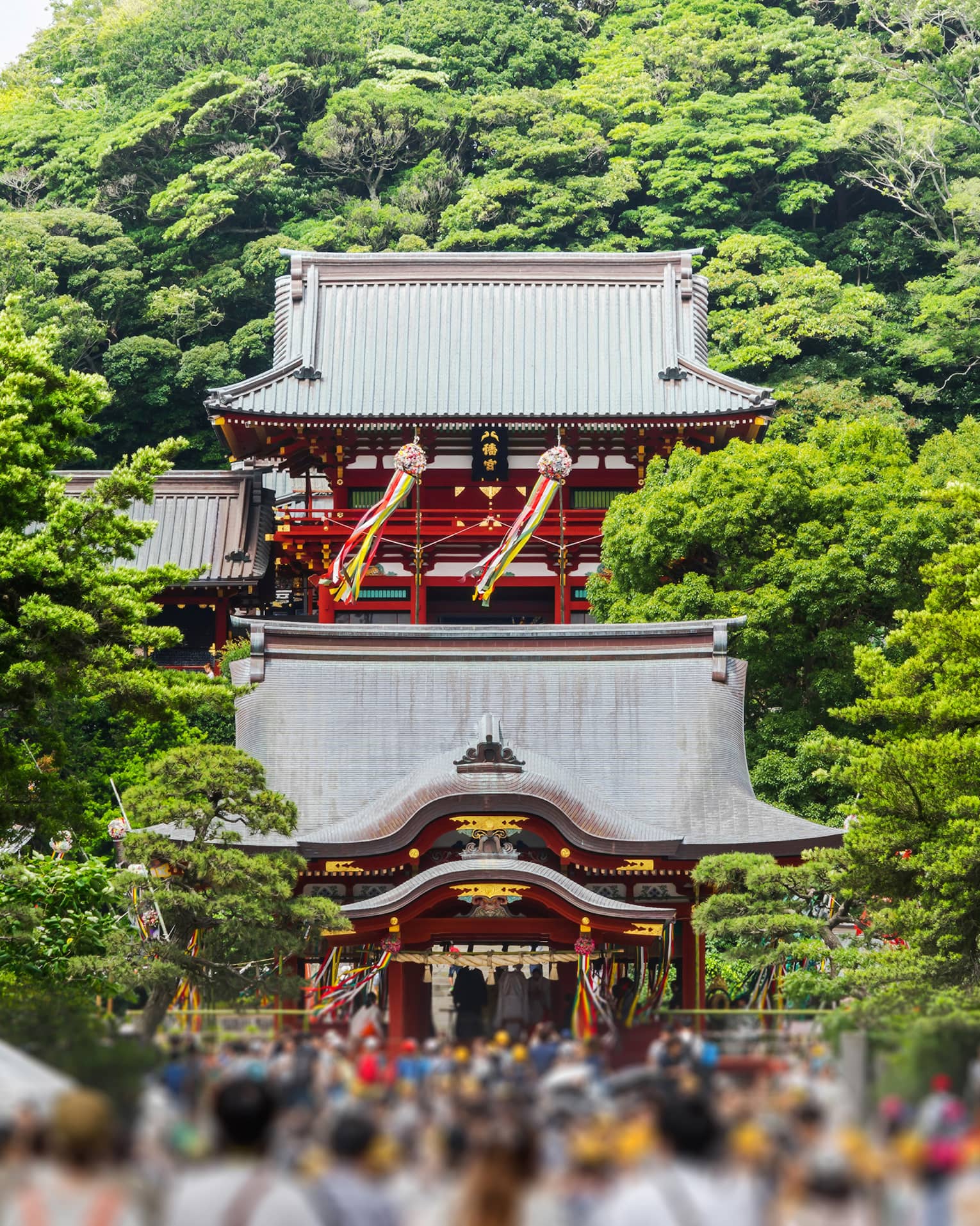 View towards a Shinto shrine decorated with colourful ribbons, blurred crowd in the foreground and towering trees behind.