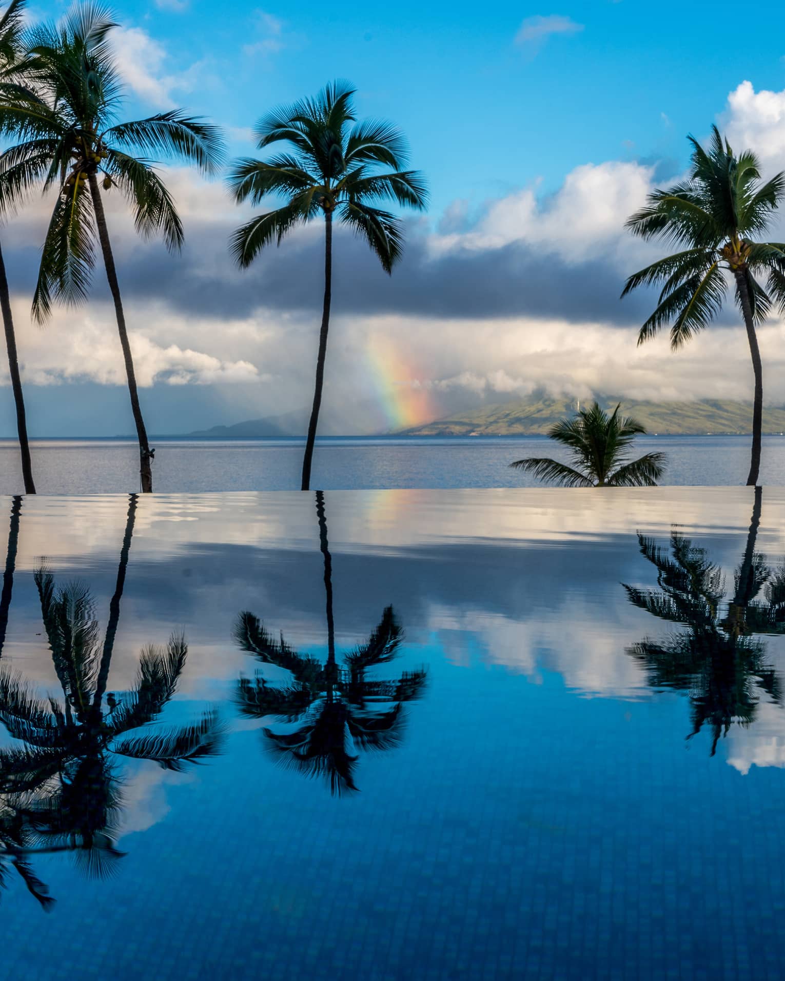 Scattered palm trees with blue sky and clouds in backdrop and reflecting on clear still water