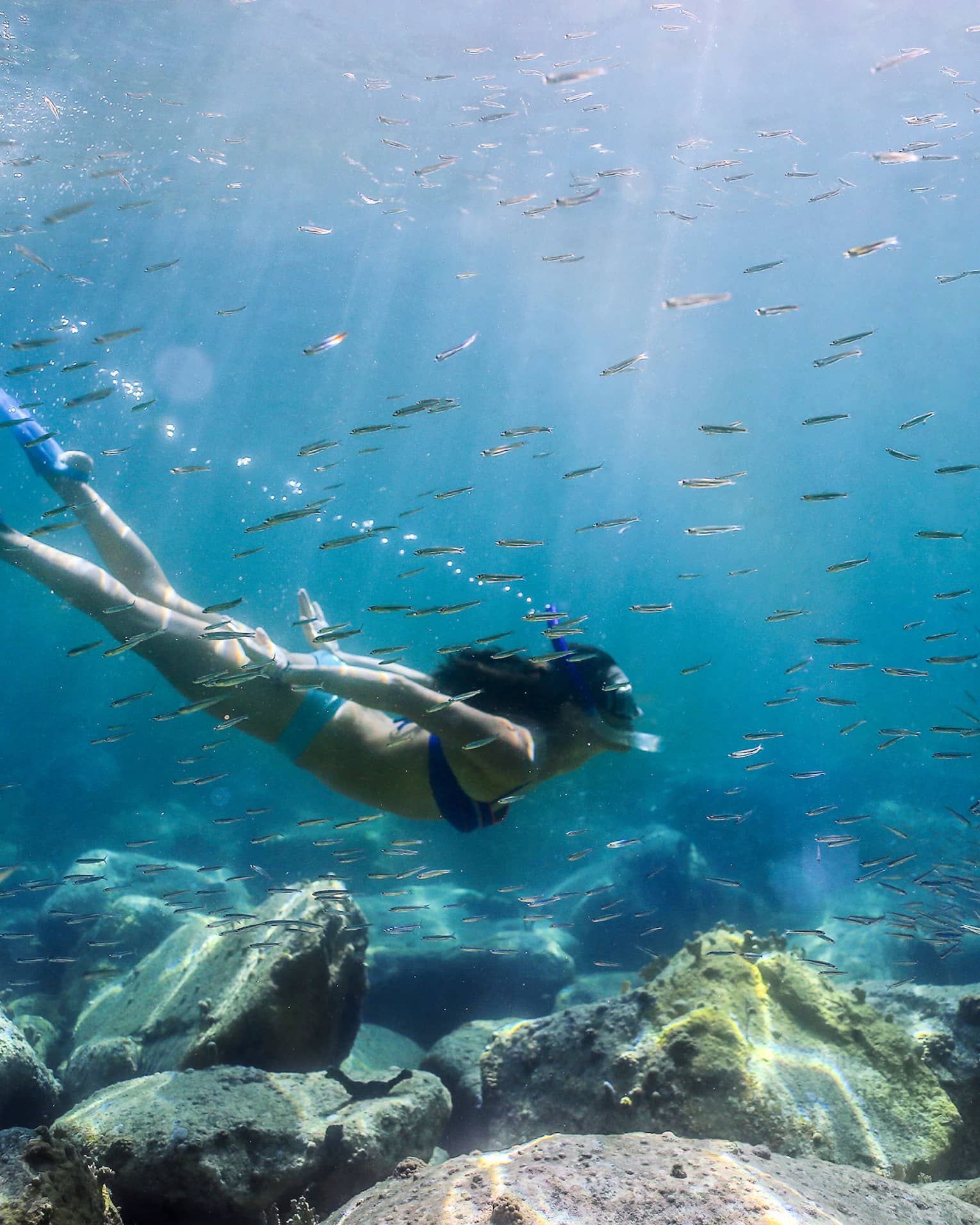 Women with snorkel, mask and fins swims in coral reef among tropical fish