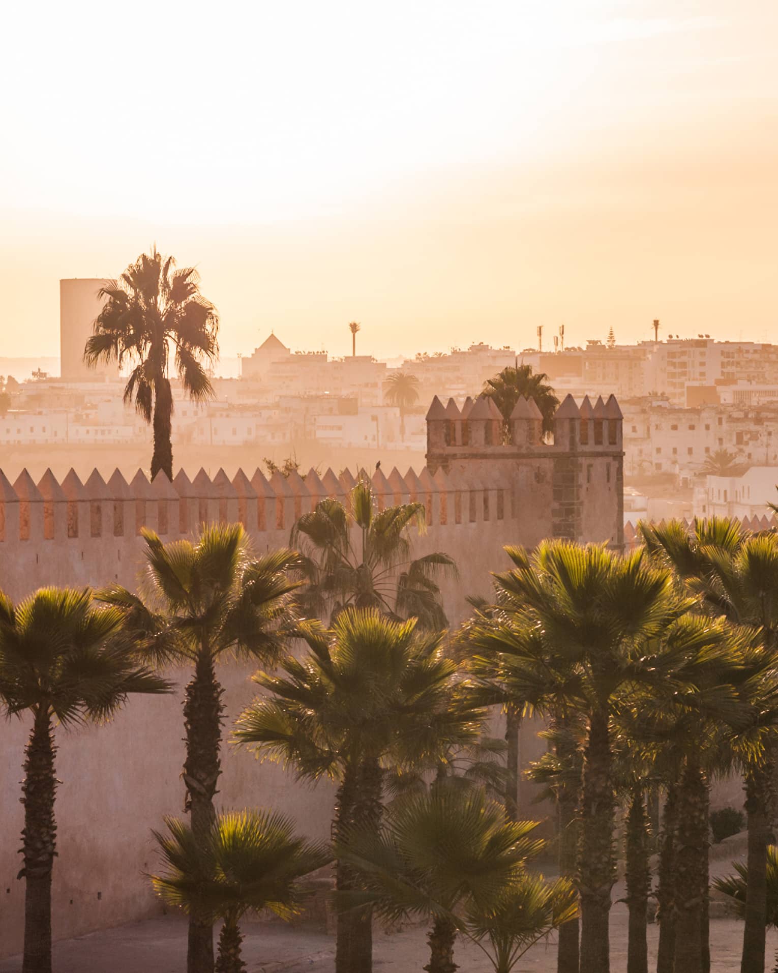 A stone city landscape in the hazy, warm glow of late-day sun, palm trees against a stone battlement in the foreground.
