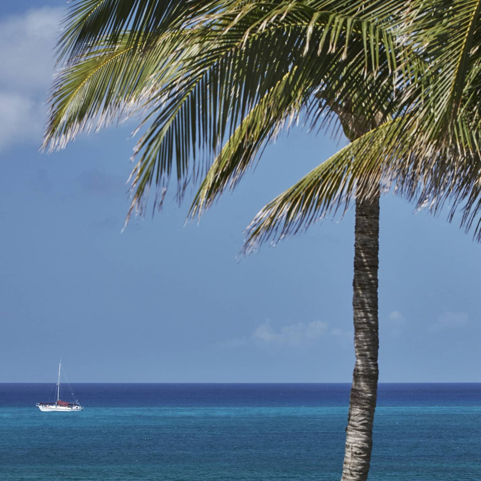 Two palm trees in the foreground, distant fishing boat in the calm turquoise sea beyond, below a clear blue sky. 
