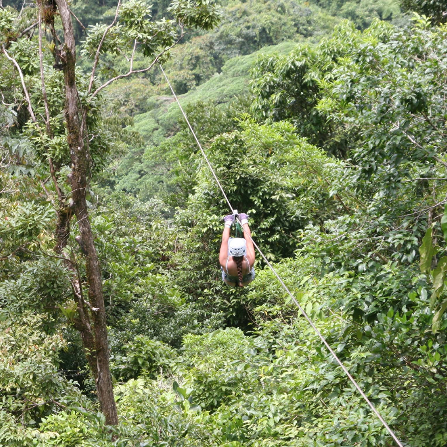 Aerial view of a person zip-lining through dense forest. Gripping the handlebars, the adventurer soars above towering trees.