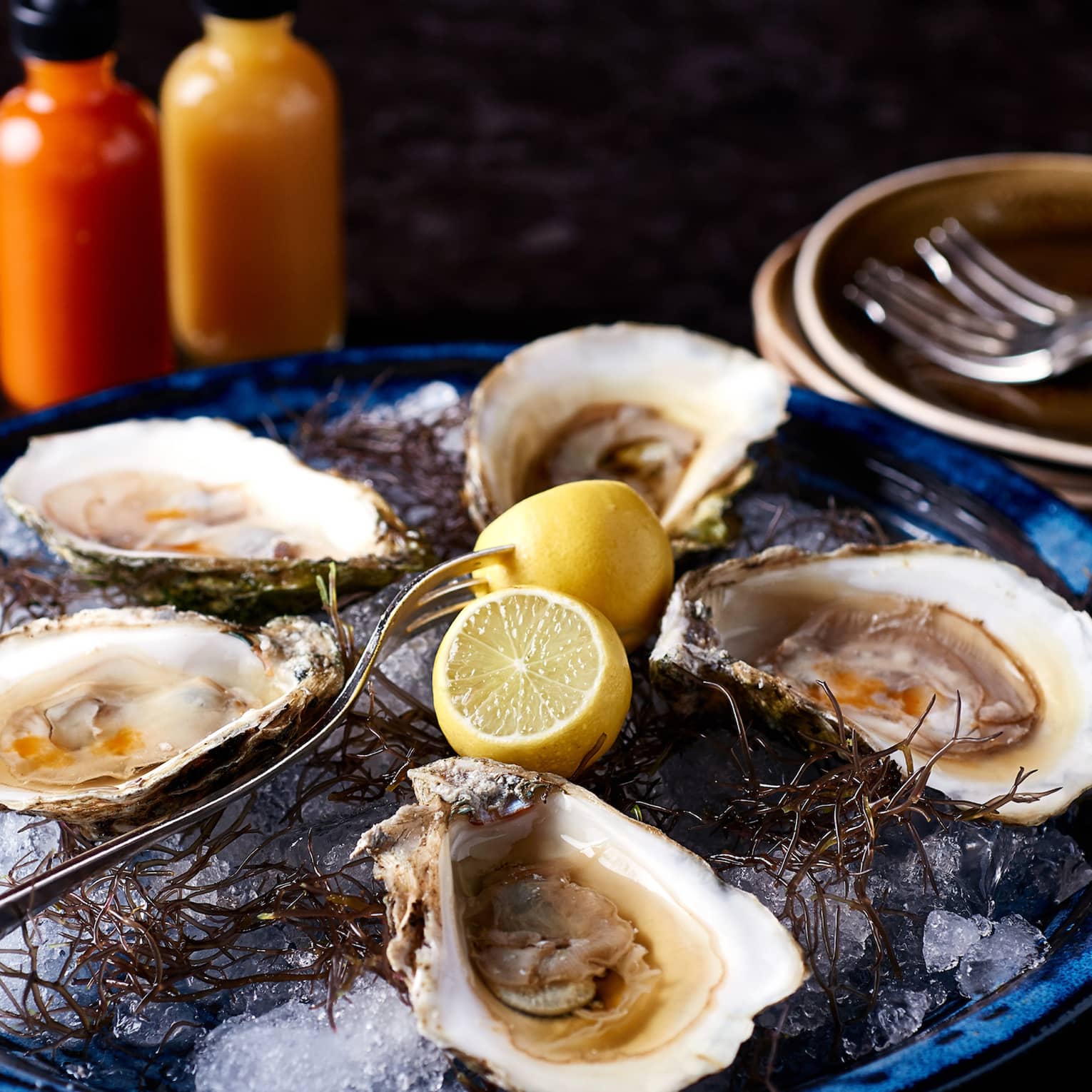 Plate of half shell oysters, lemons on ice 